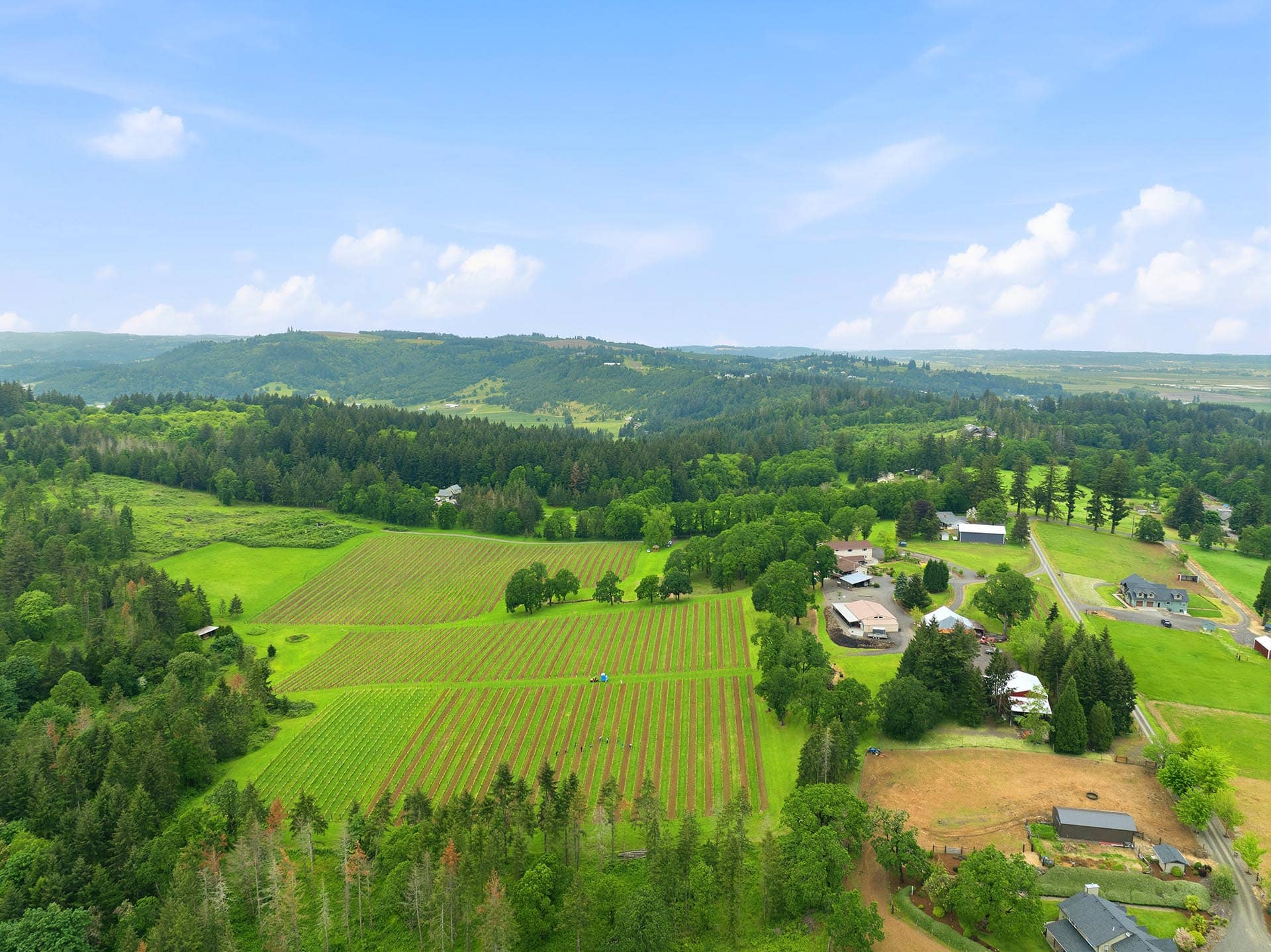 agricultural production land for sale oregon willamette wine country estate