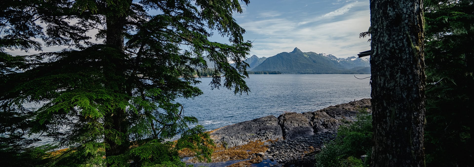 A tranquil lake framed by evergreen trees and a rocky shoreline, with distant snow-capped mountains.