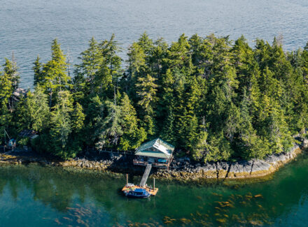 alaska property with land for sale mertz island