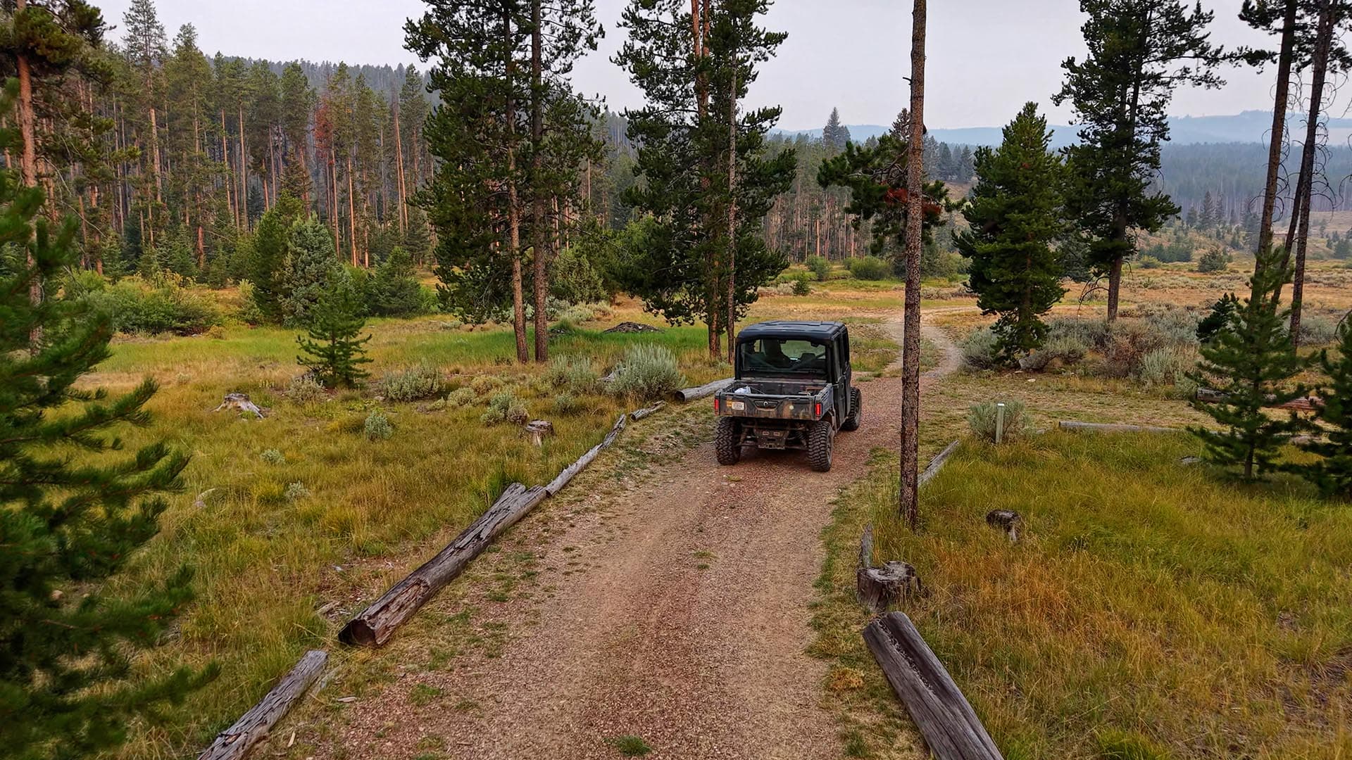 Off-road jeep on a dirt trail winding through a pine forest with fallen logs along the path.