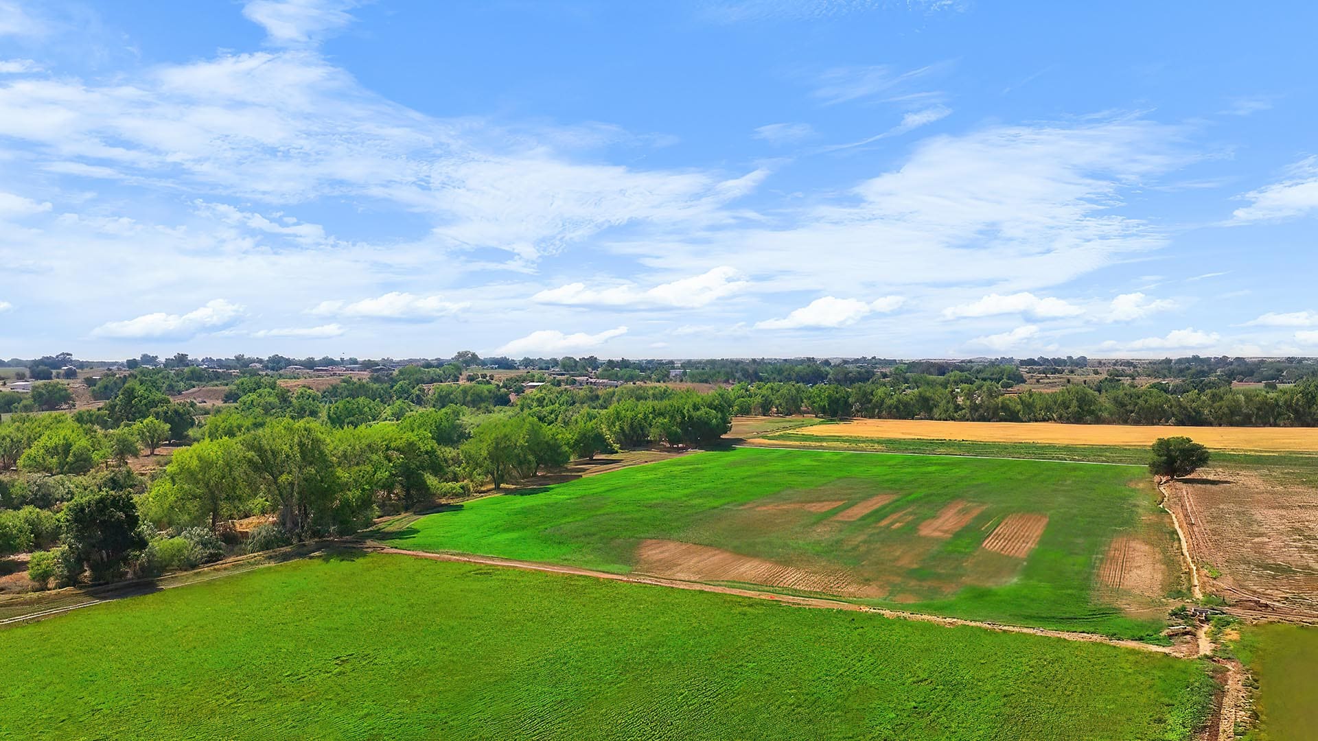 Aerial view of lush green farmland with patches of cultivated fields and a line of trees under a bright blue sky with scattered clouds.