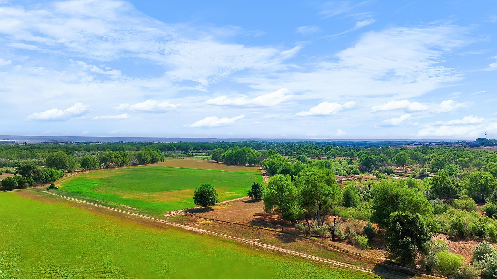 Wide view of green fields bordered by trees under a blue sky with scattered clouds.
