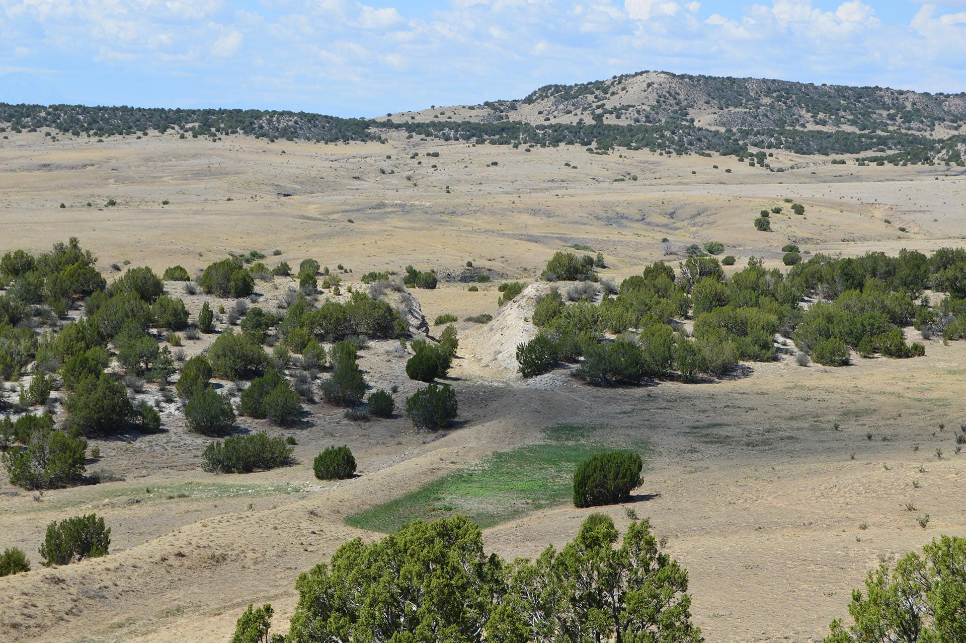 avondale co ranches for sale colorado 6 s ranch