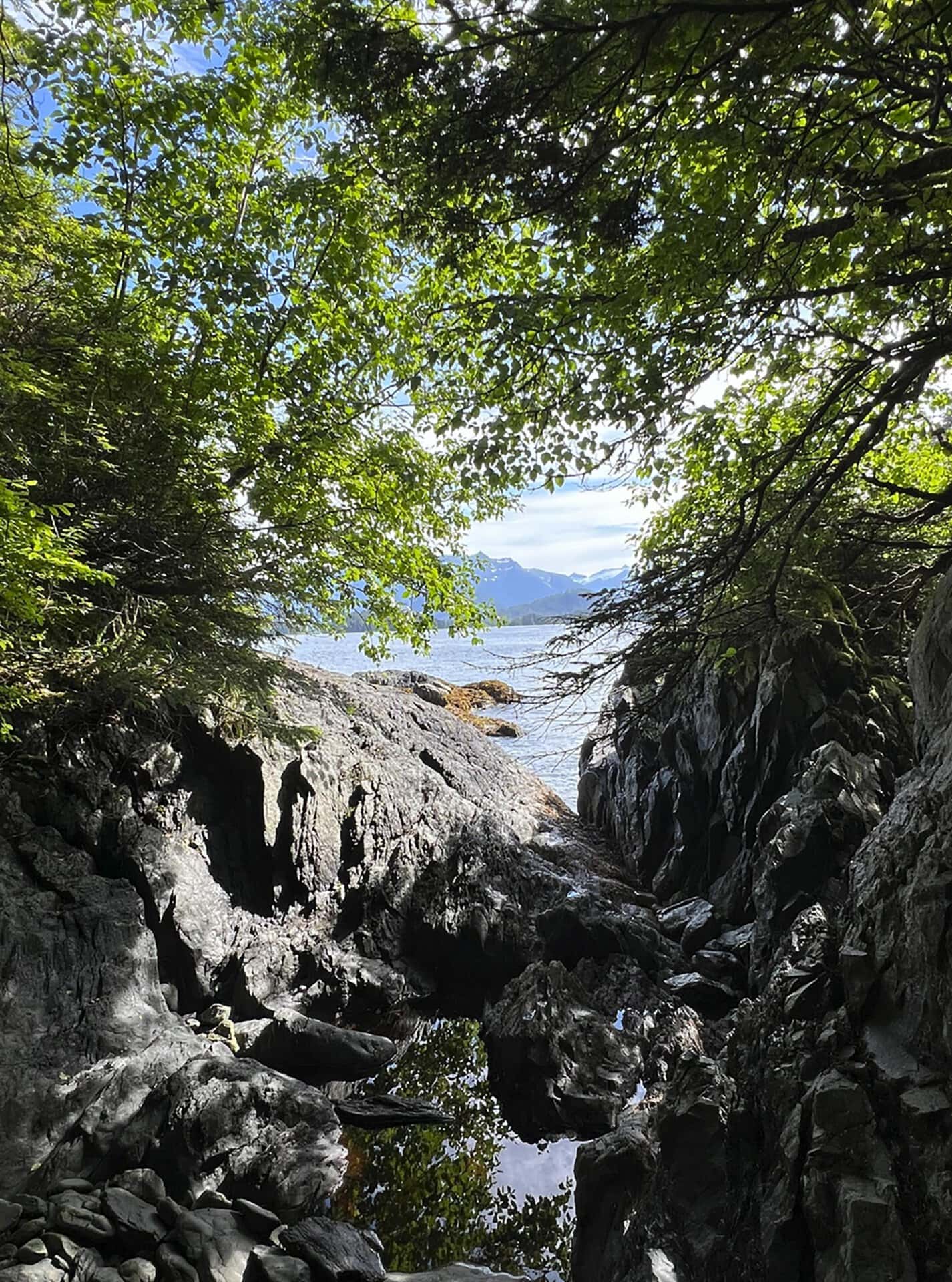 Rocky shoreline framed by overhanging green leaves, with a calm lake and distant mountains in view.