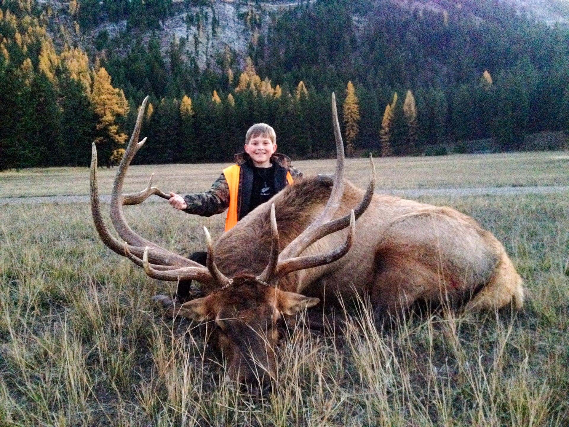 bull elk montana rock clark ranch