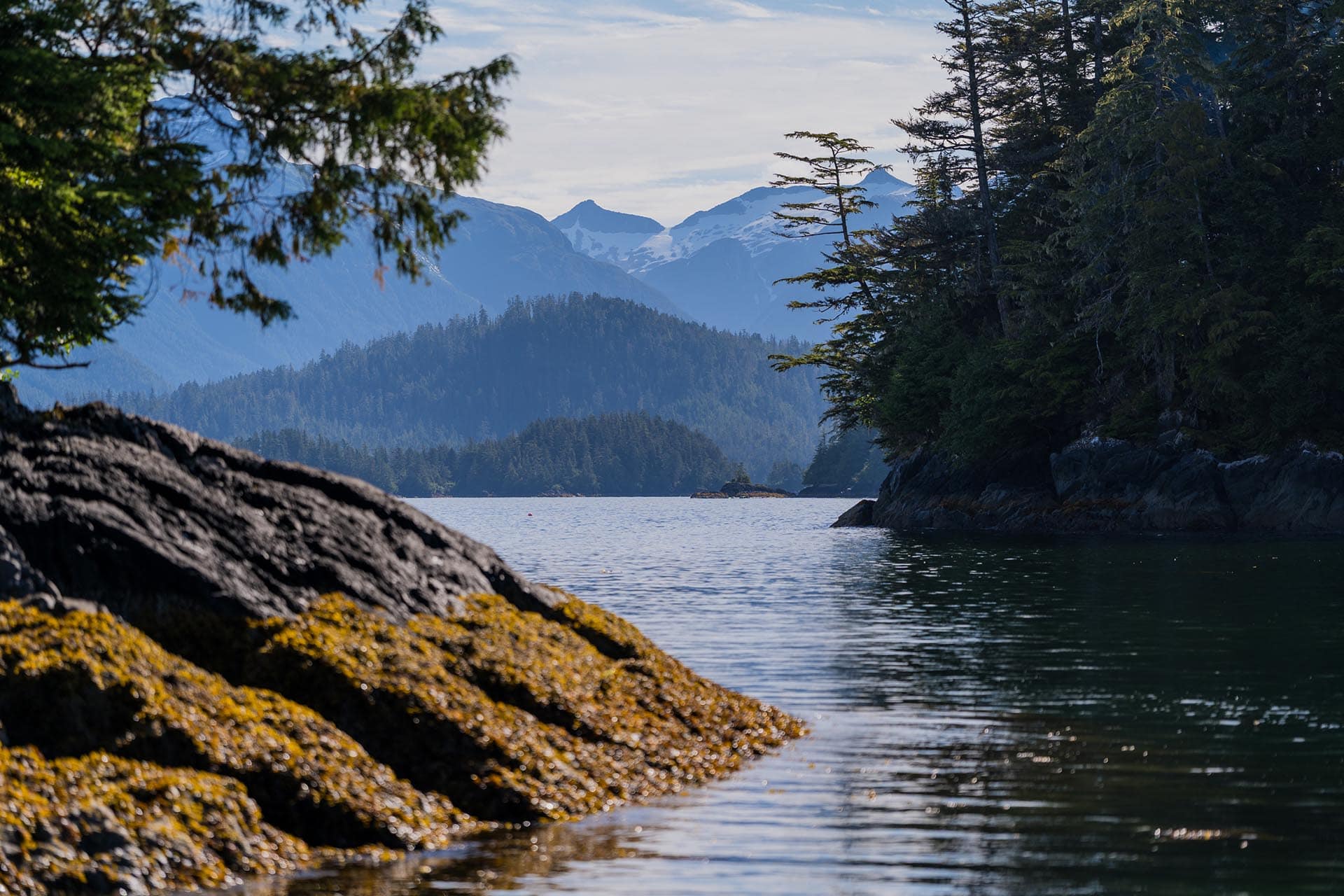 Rocky shoreline framing a calm lake with forested hills and snow-capped mountains in the distance.