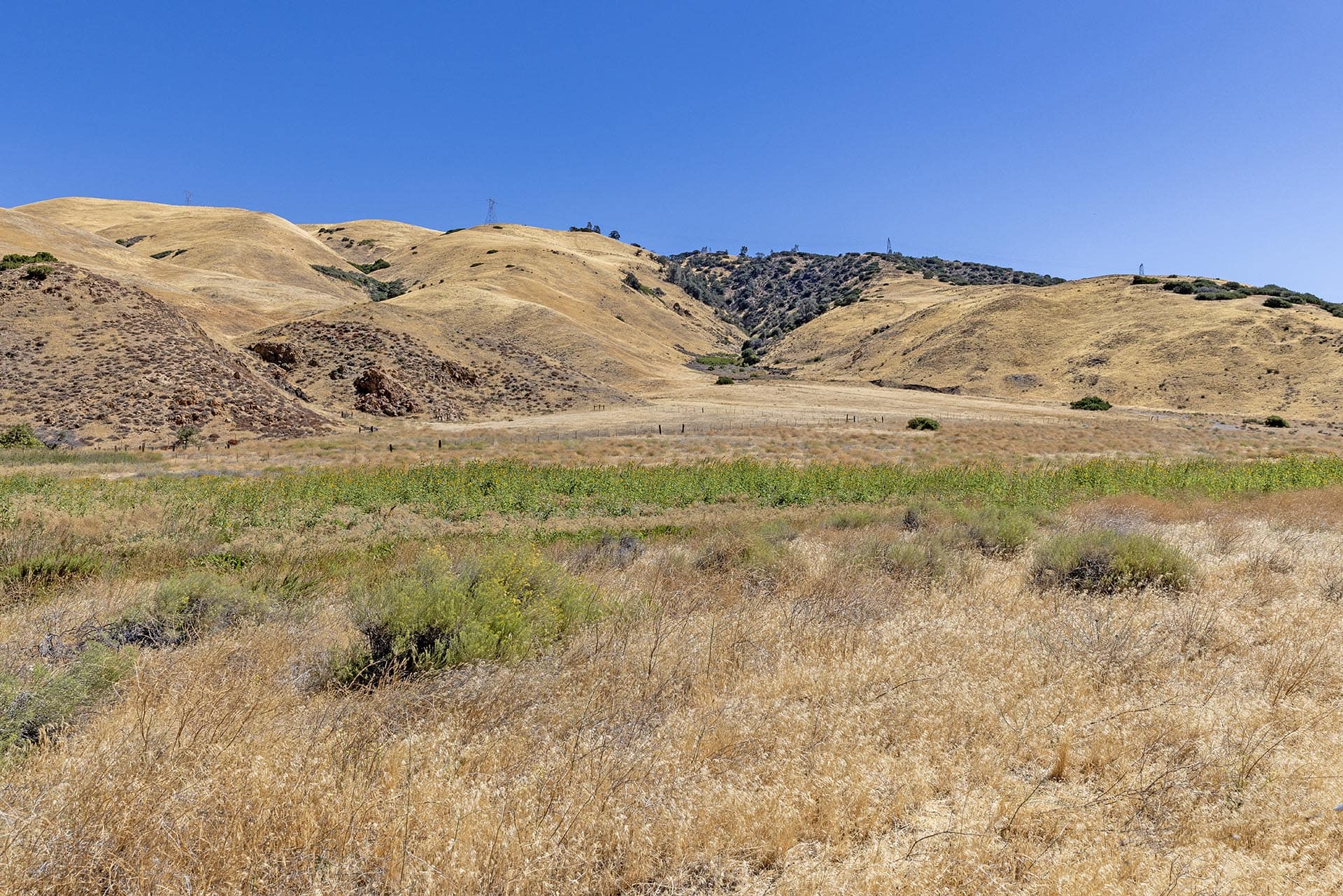 cattle grazing land for sale los angeles county california gorman post ranch