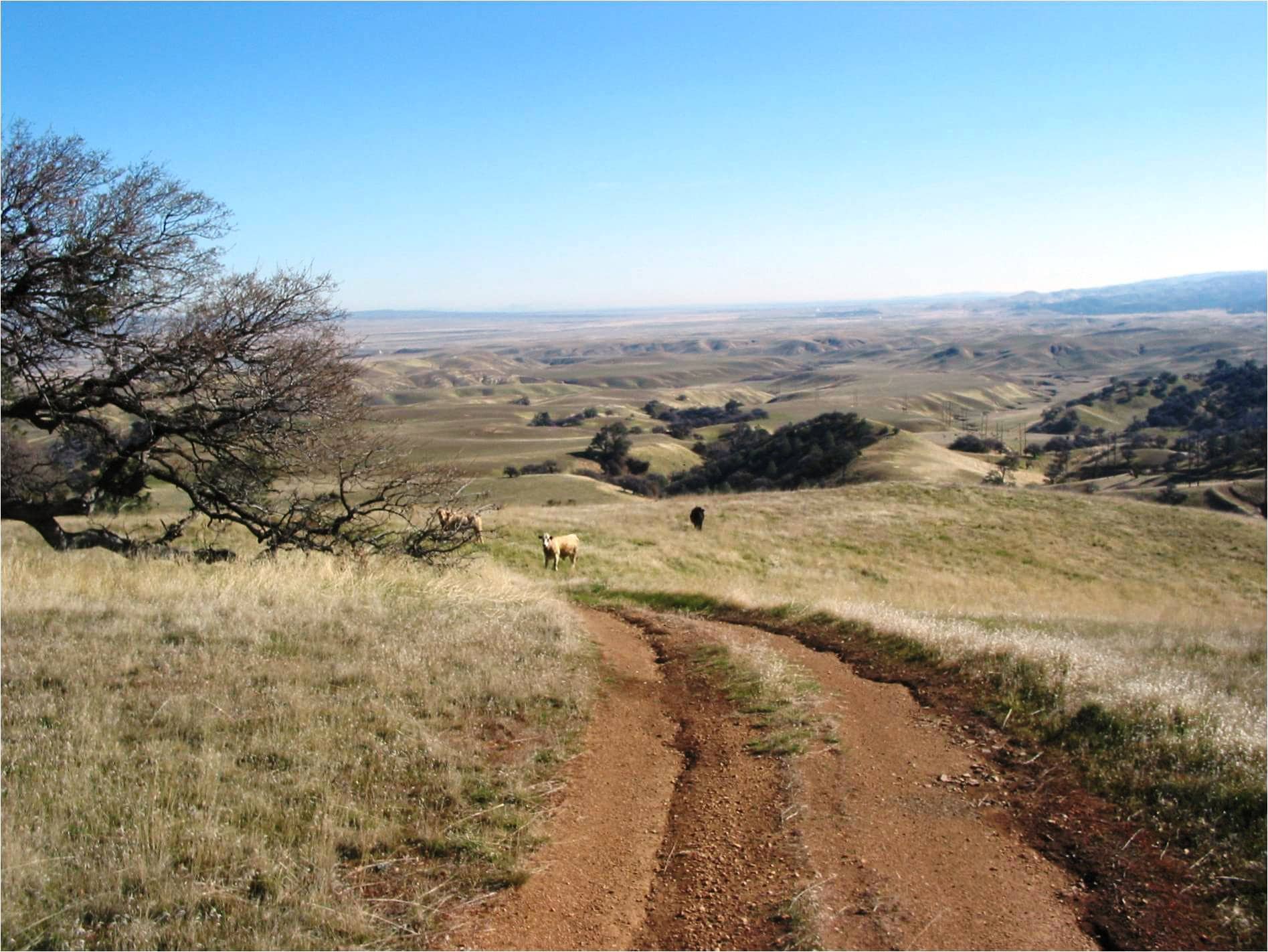 cattle property for sale california gorman post ranch