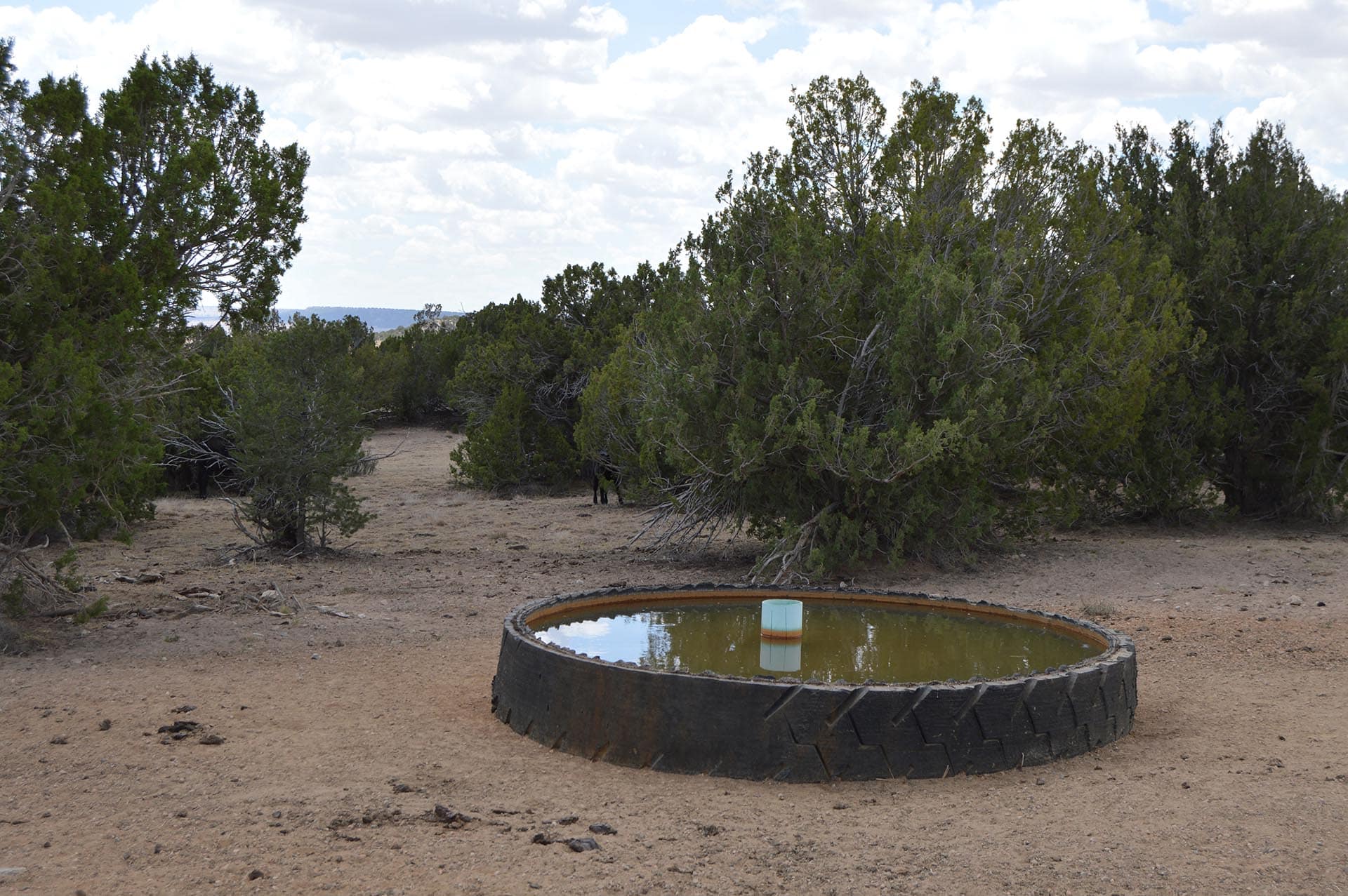 cattle ranch for sale co colorado 6 s ranch