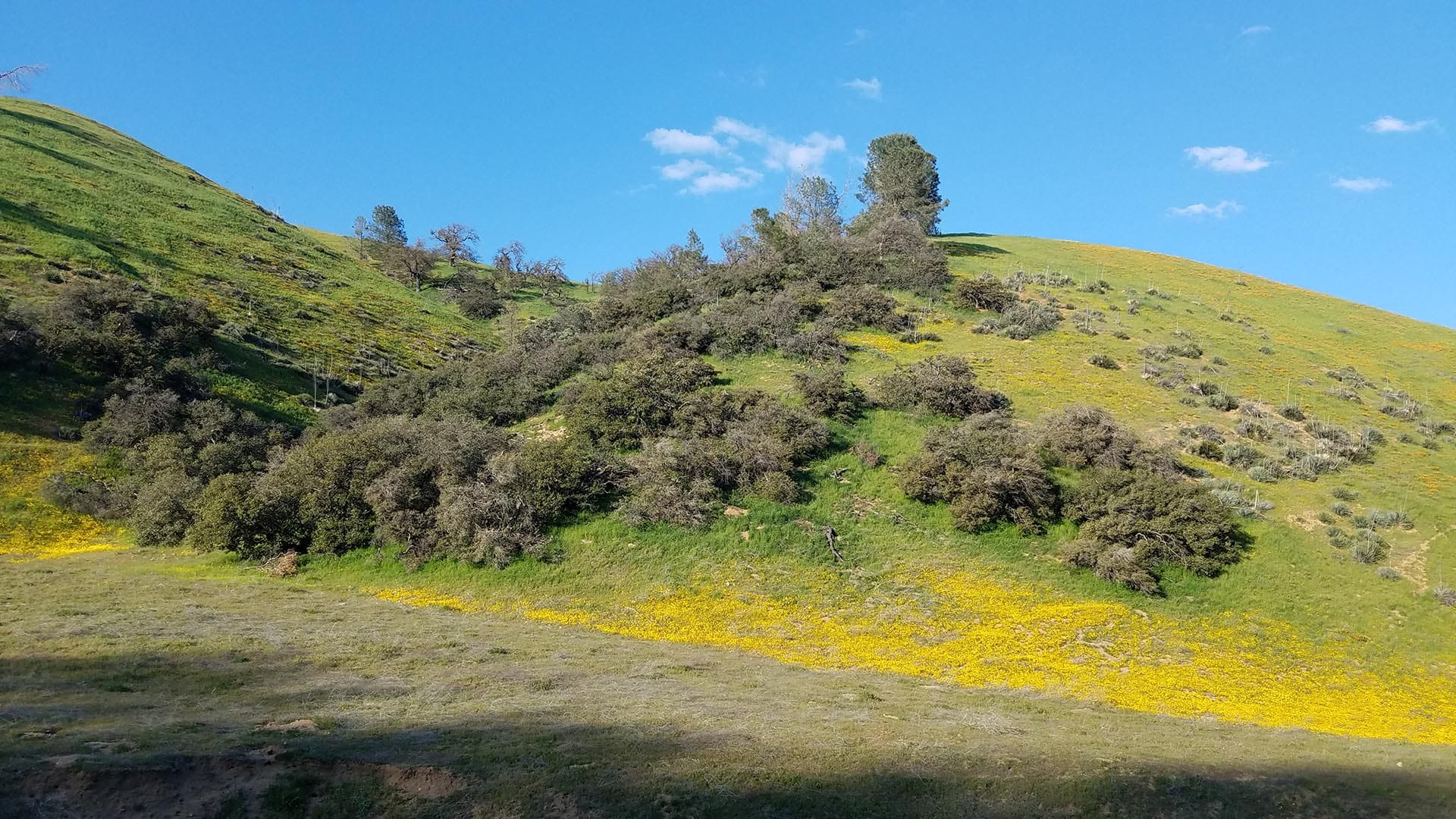 cattle ranch for sale southern california gorman post ranch