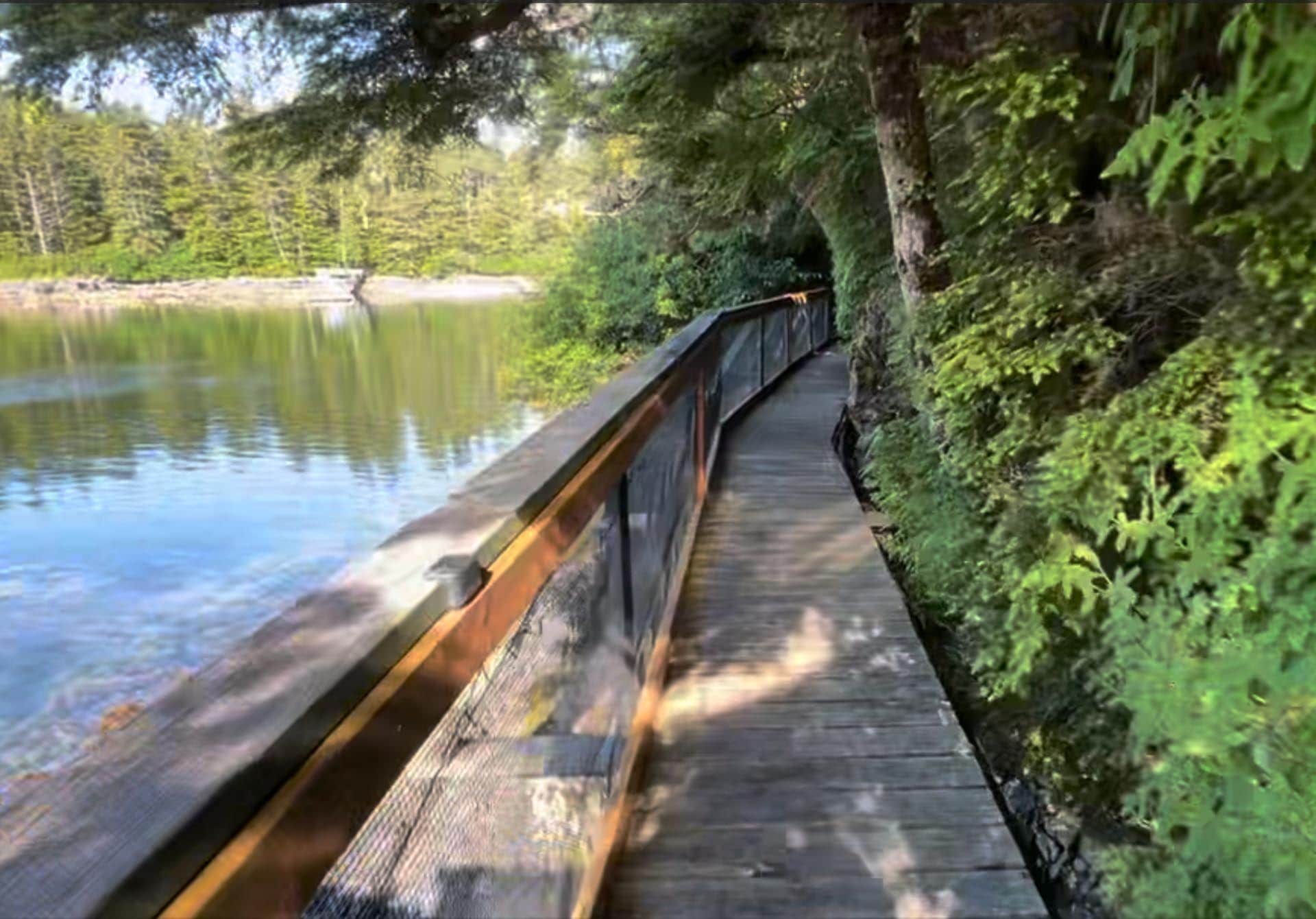 Wooden boardwalk runs along a calm lake with dense trees on both sides, railing on the left.