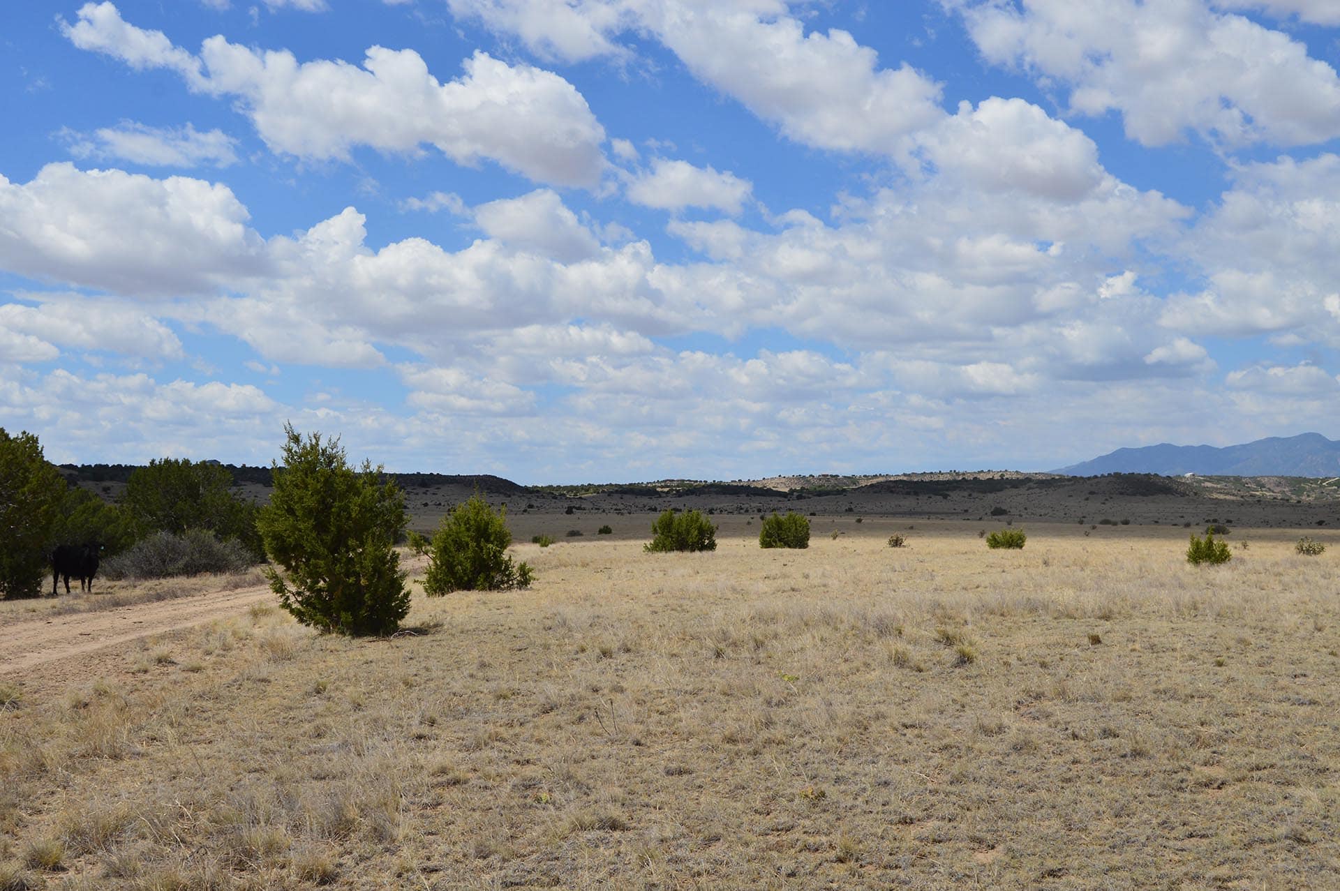 colorado city co ranches for sale co colorado 6 s ranch