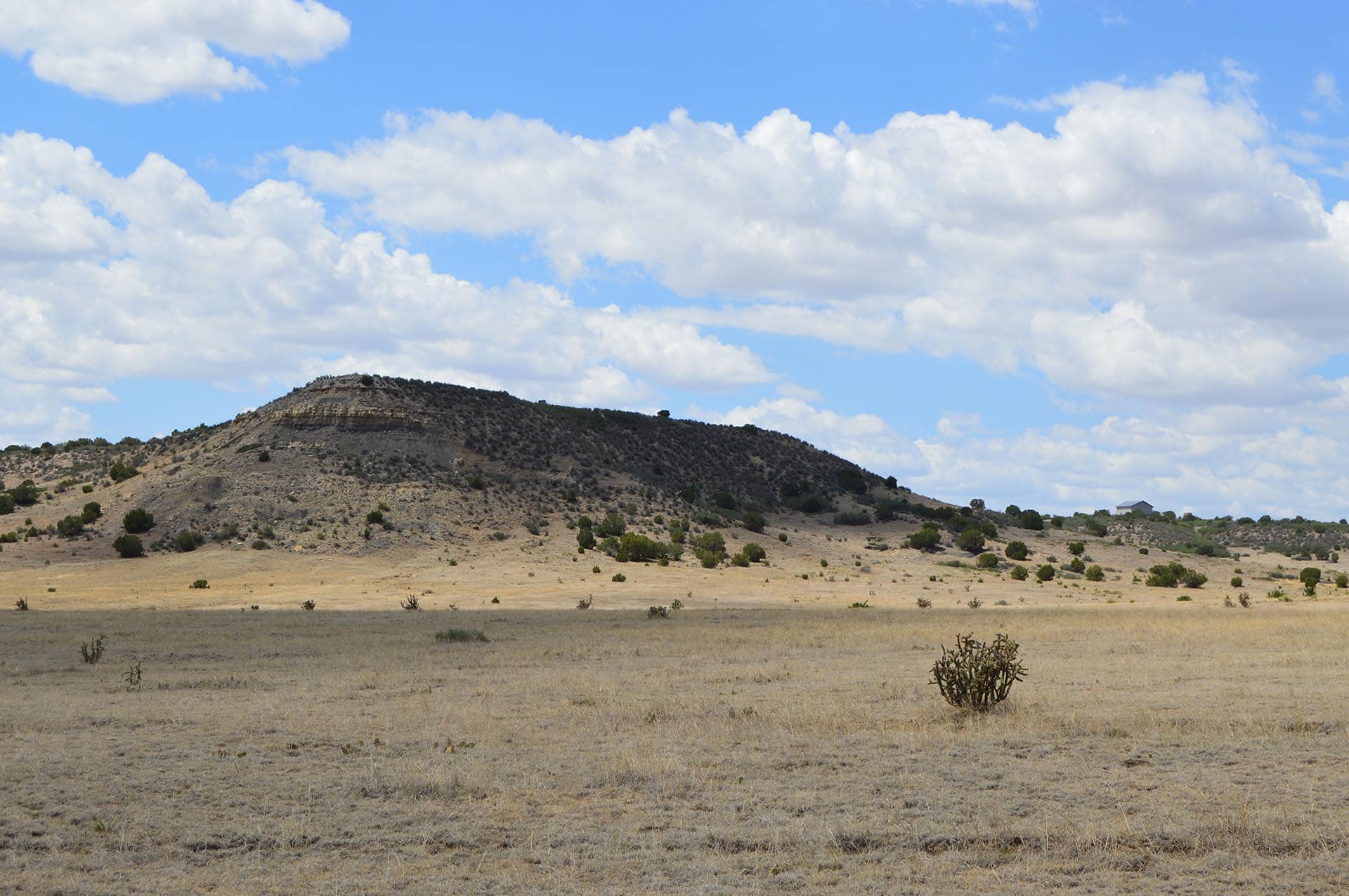 colorado elk hunting ranch for sale colorado 6 s ranch