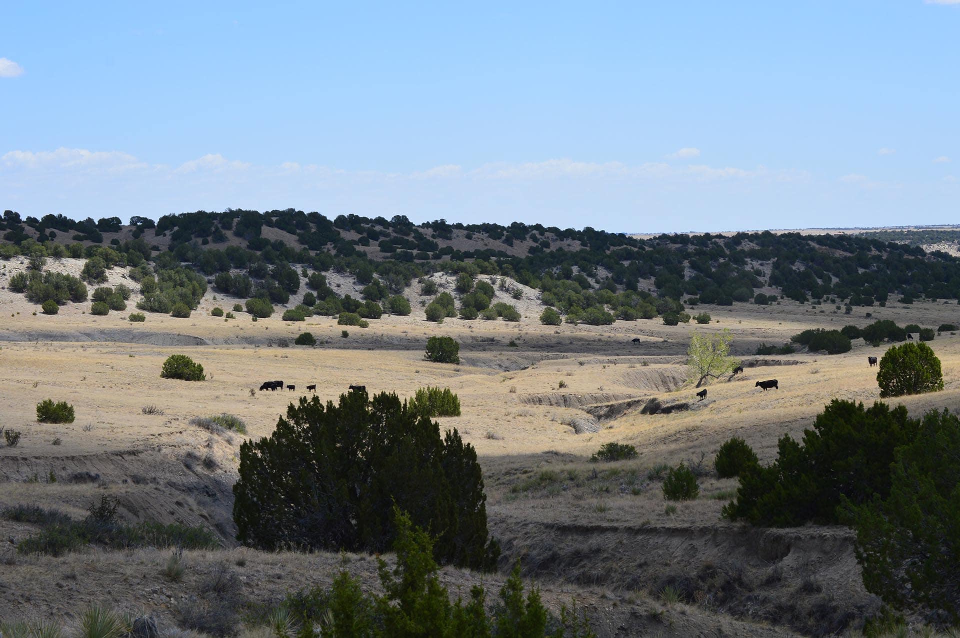 colorado farm and ranch for sale co colorado 6 s ranch