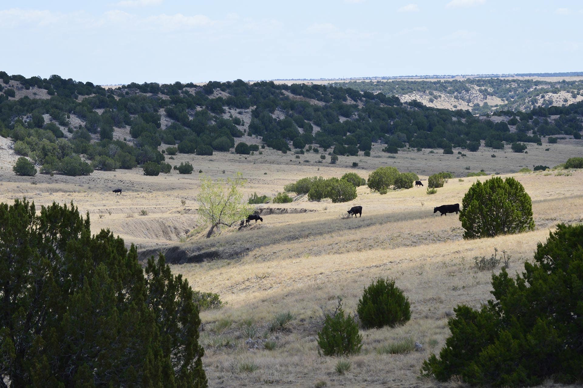 colorado farm and ranch for sale colorado 6 s ranch