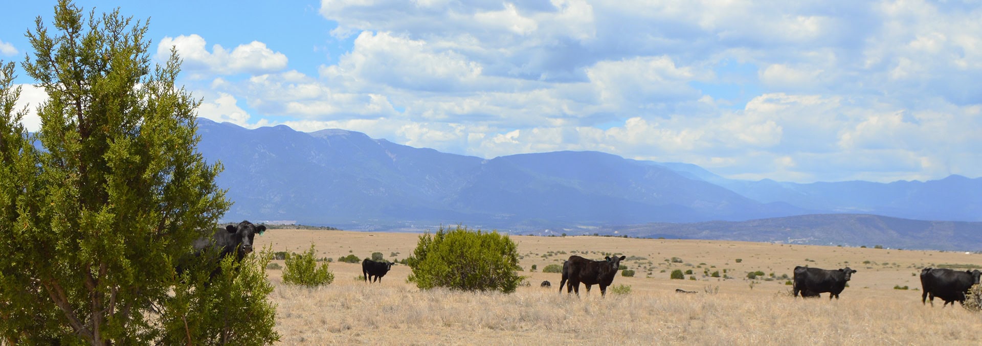 colorado farm for sale 6 s ranch