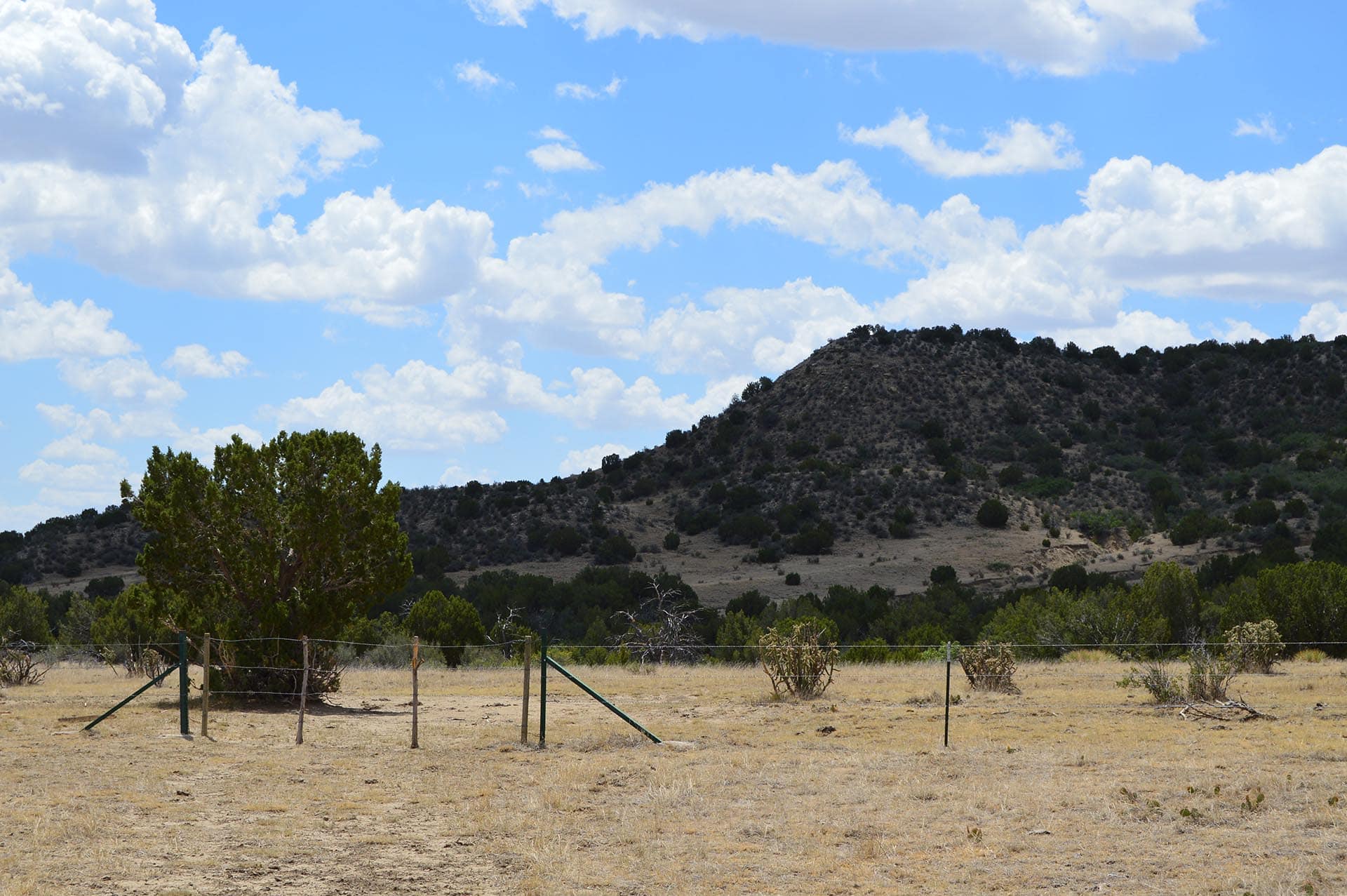 colorado hunting land for sale co colorado 6 s ranch