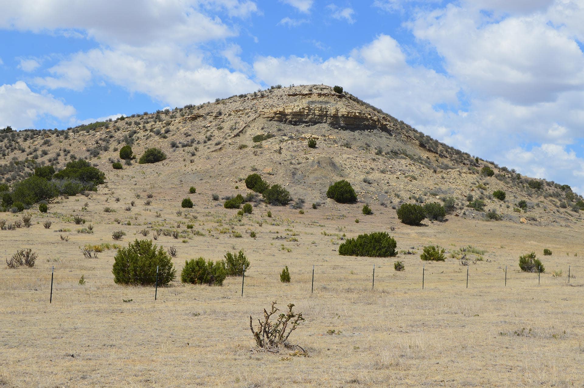 colorado hunting land for sale colorado 6 s ranch