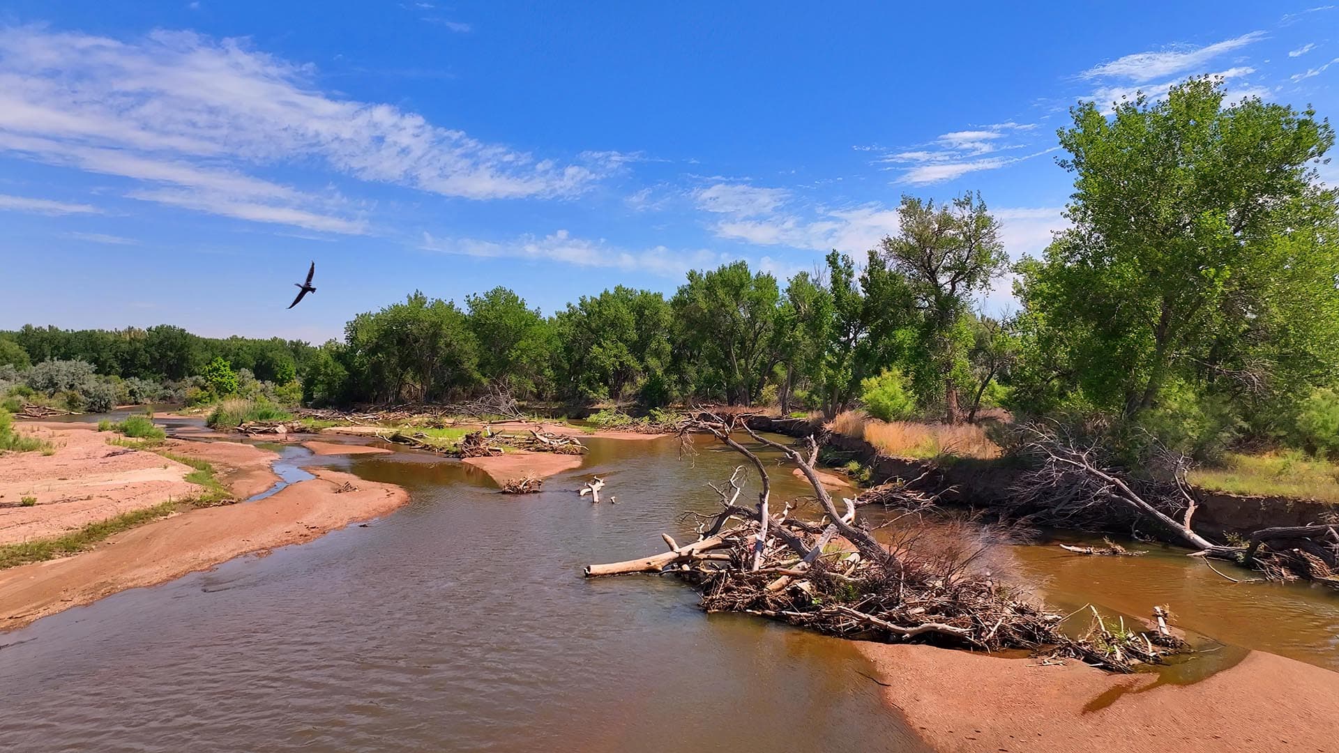 colorado hunting property for sale co colorado two rivers ranch