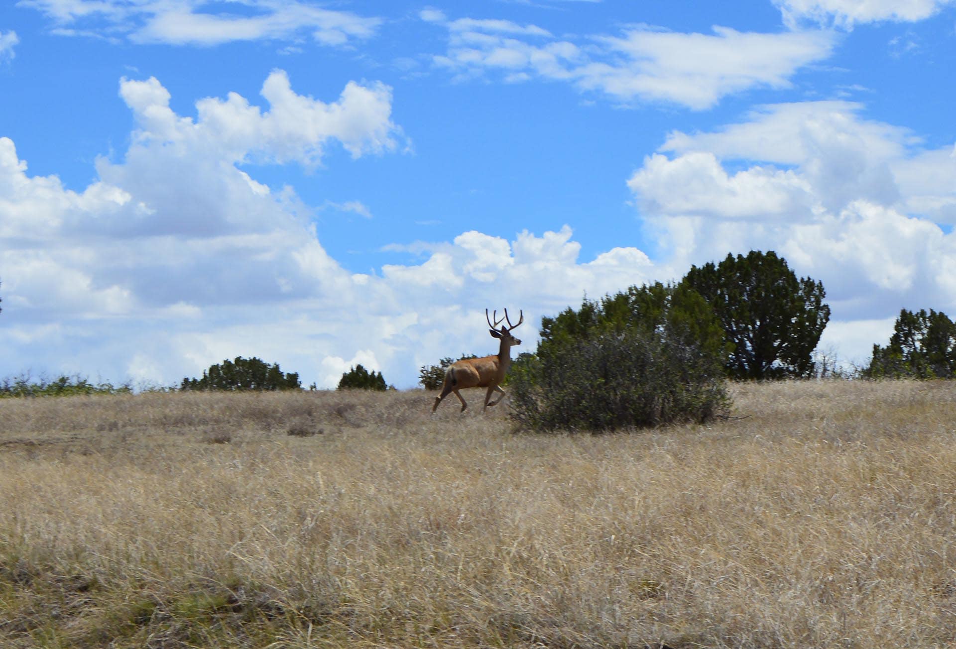 colorado hunting ranches for sale co colorado 6 s ranch