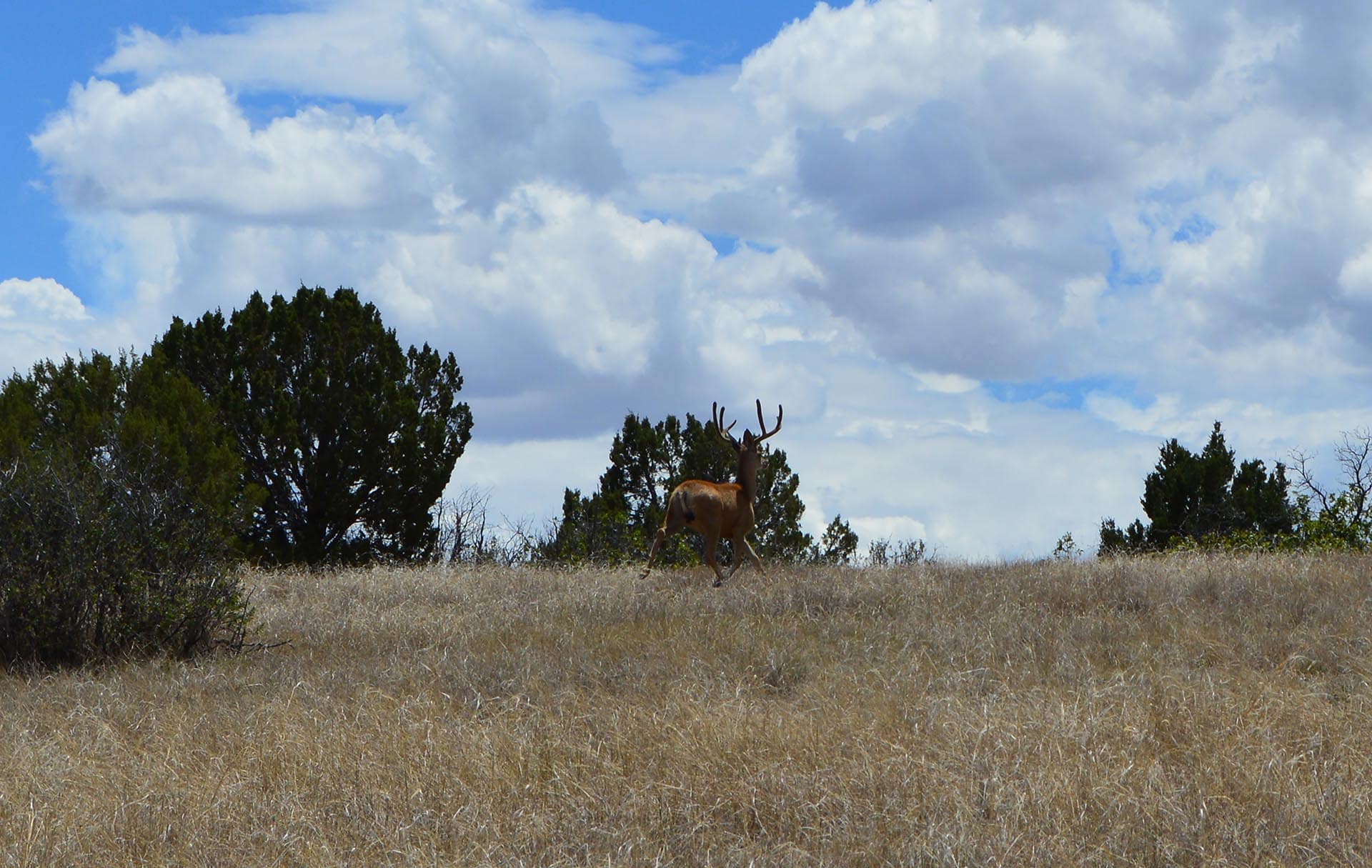 colorado hunting ranches for sale colorado 6 s ranch