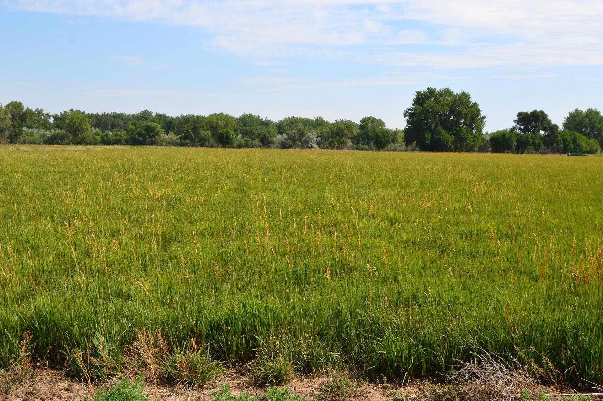 colorado investment land co colorado two rivers ranch