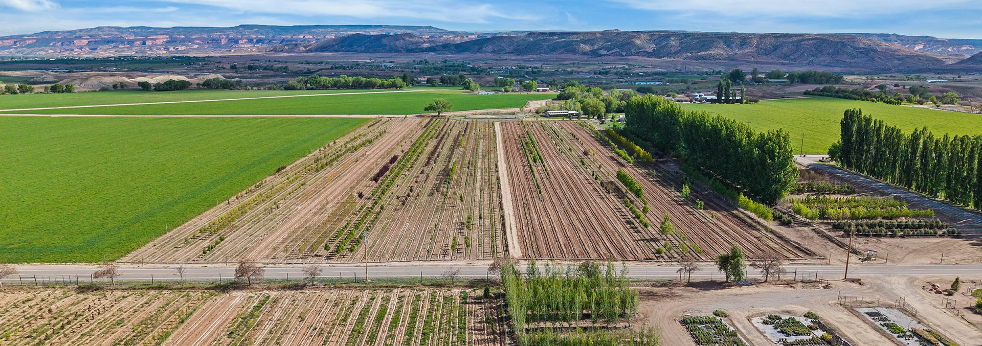 Aerial view of farmland with neatly planted rows, green fields, and a distant mountain range under a blue sky.
