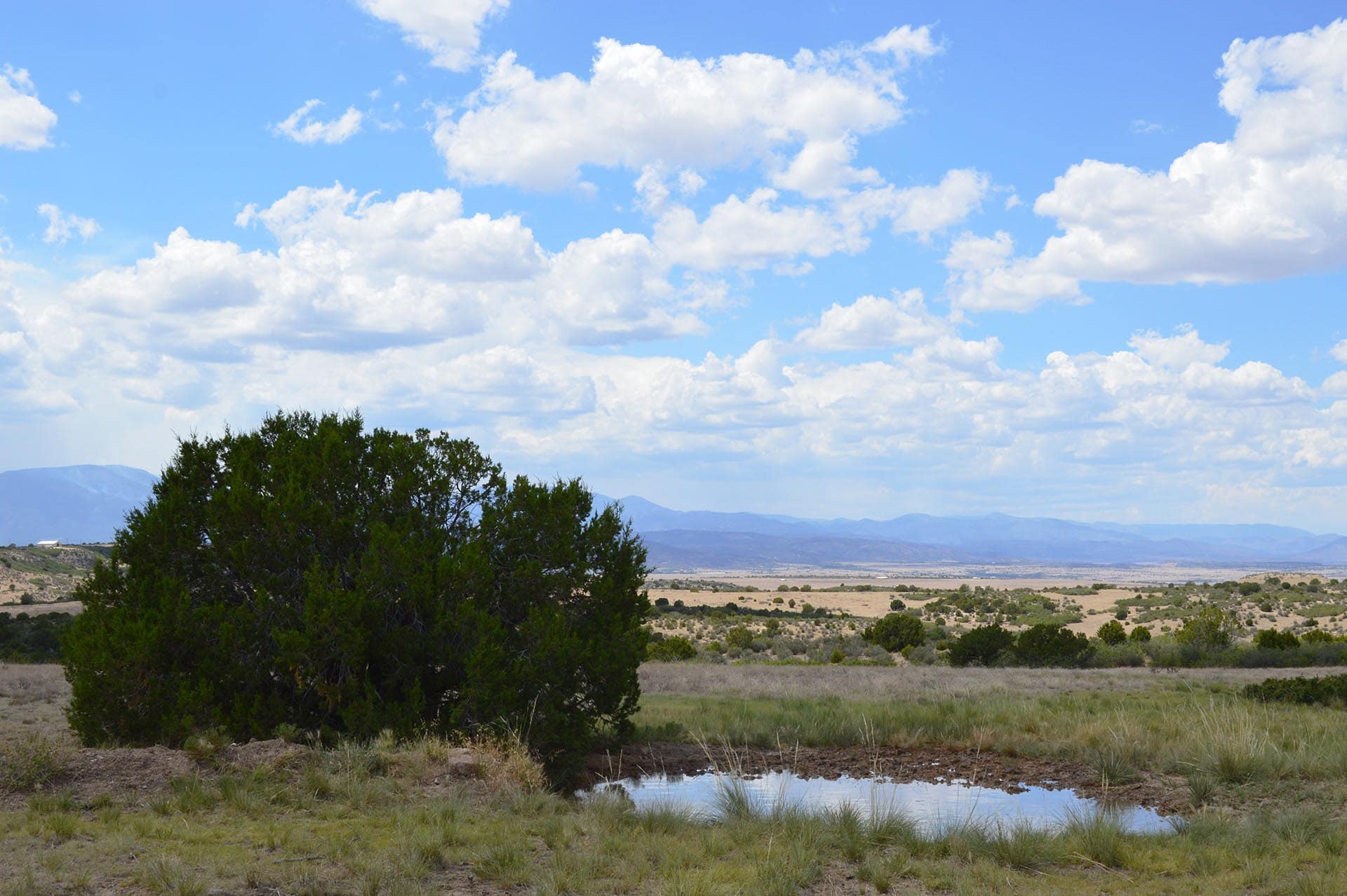 colorado mountain ranch for sale co colorado 6 s ranch