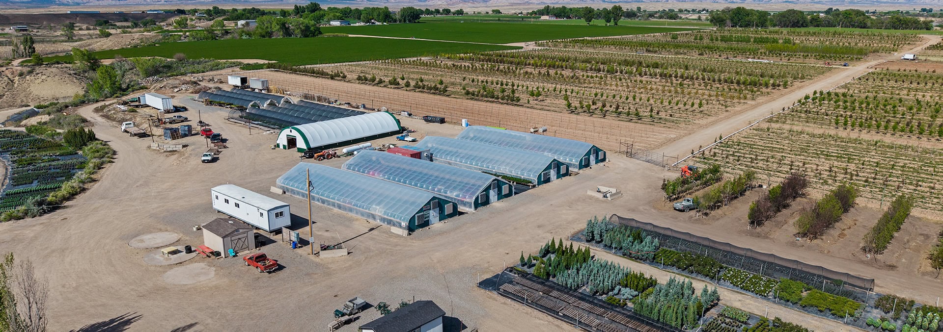 colorado nursery for sale valley grown nursery