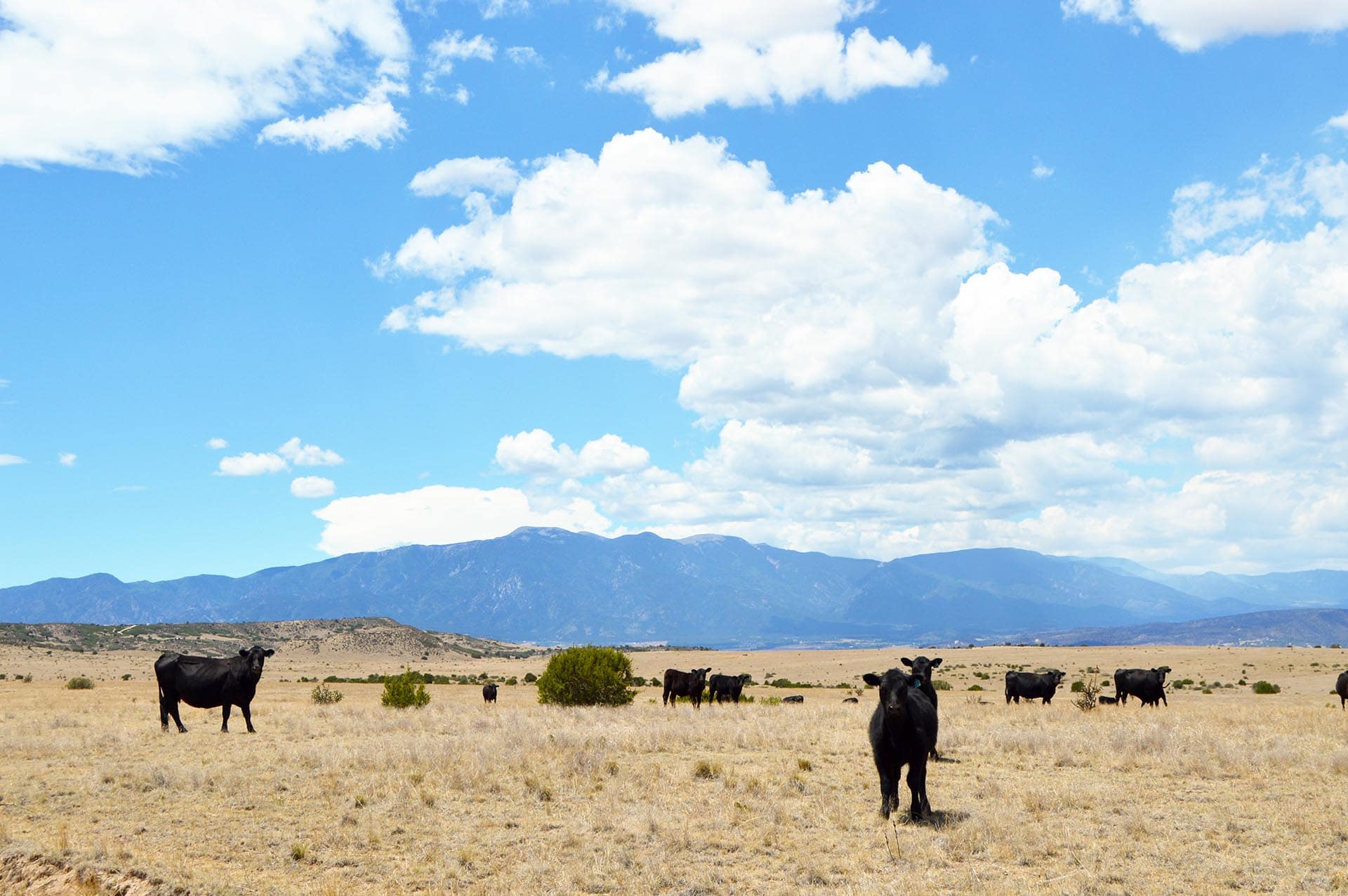 colorado ranch with hunting co colorado 6 s ranch