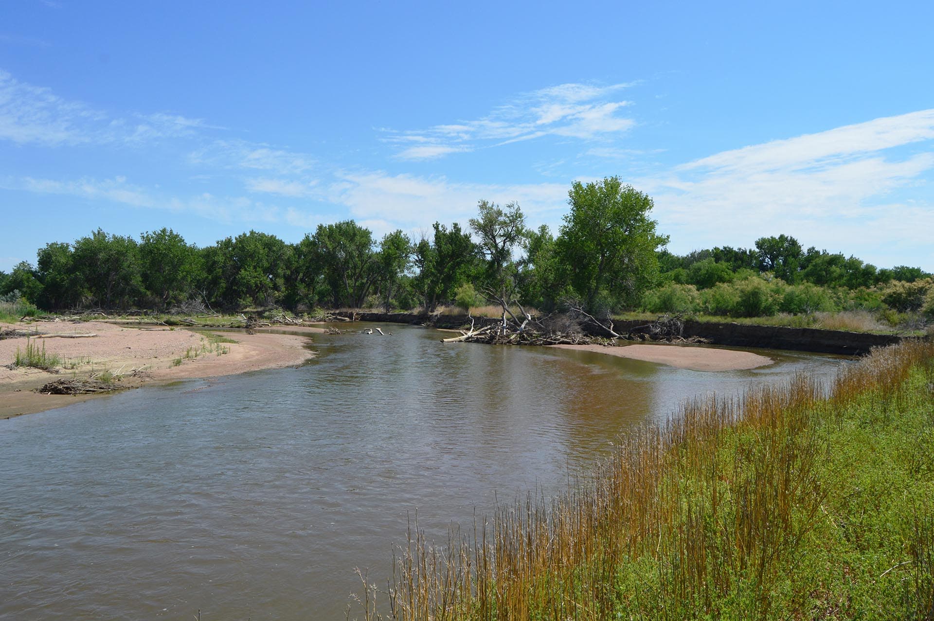 Wide river or lake with sandy banks, fallen logs, and dense green trees under a bright blue sky with wispy clouds.