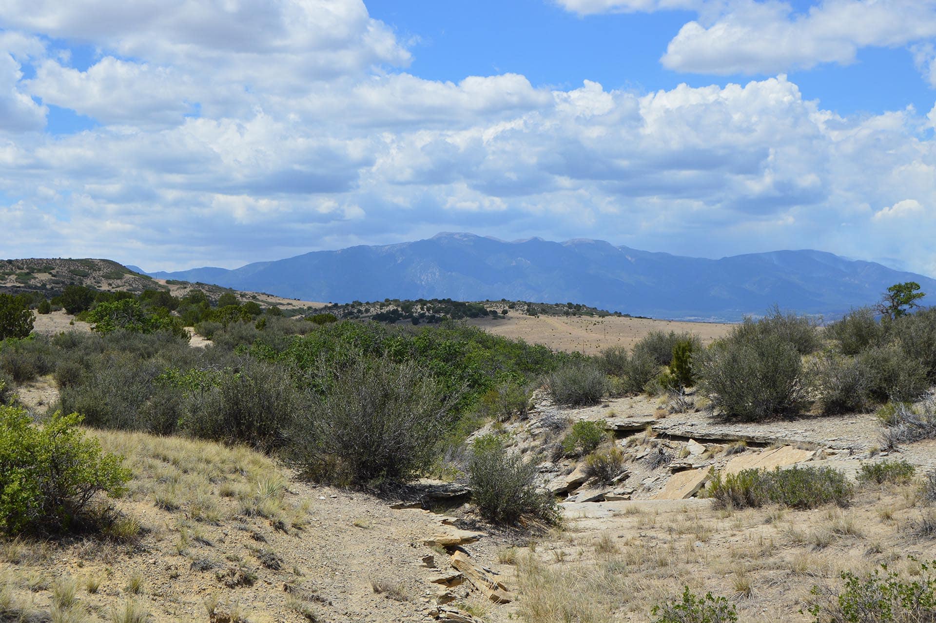 colorado turkey hunting property co colorado 6 s ranch