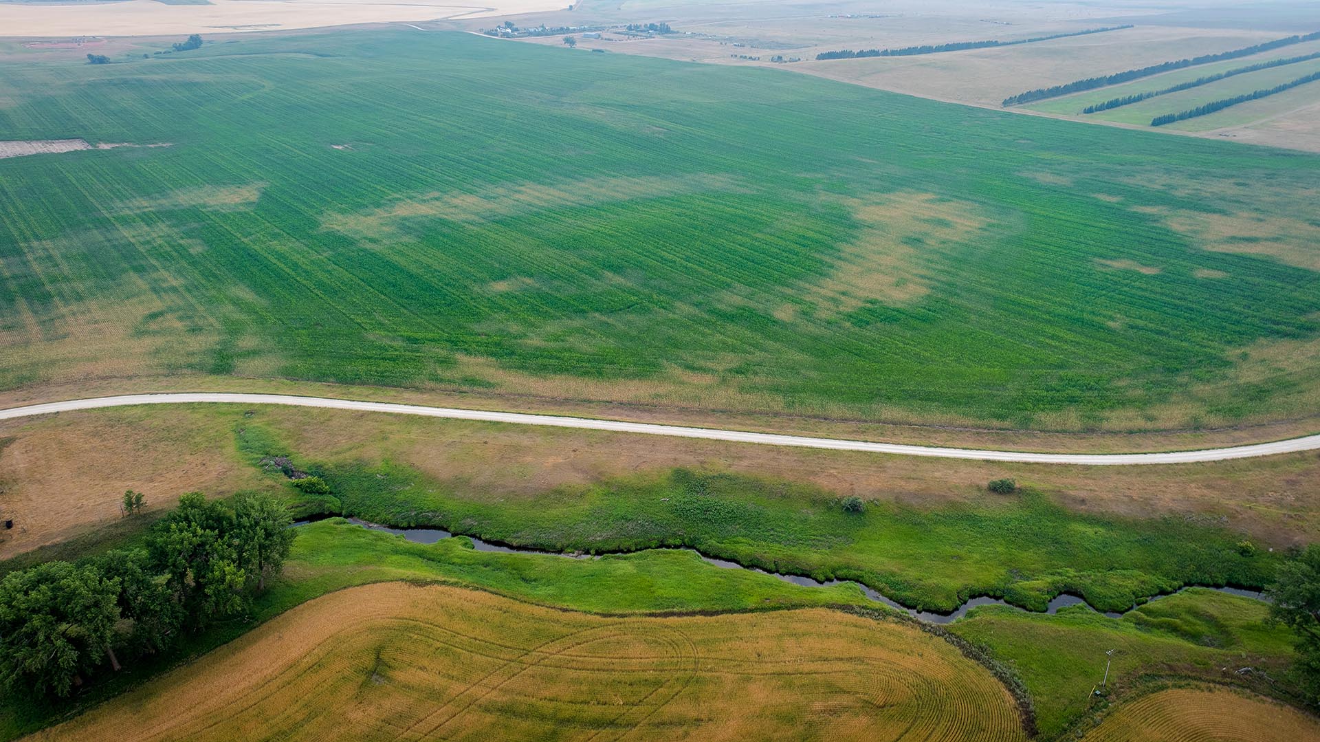 Aerial view of green crop fields with a curved road running along the field edge and a winding creek at the bottom foreground.