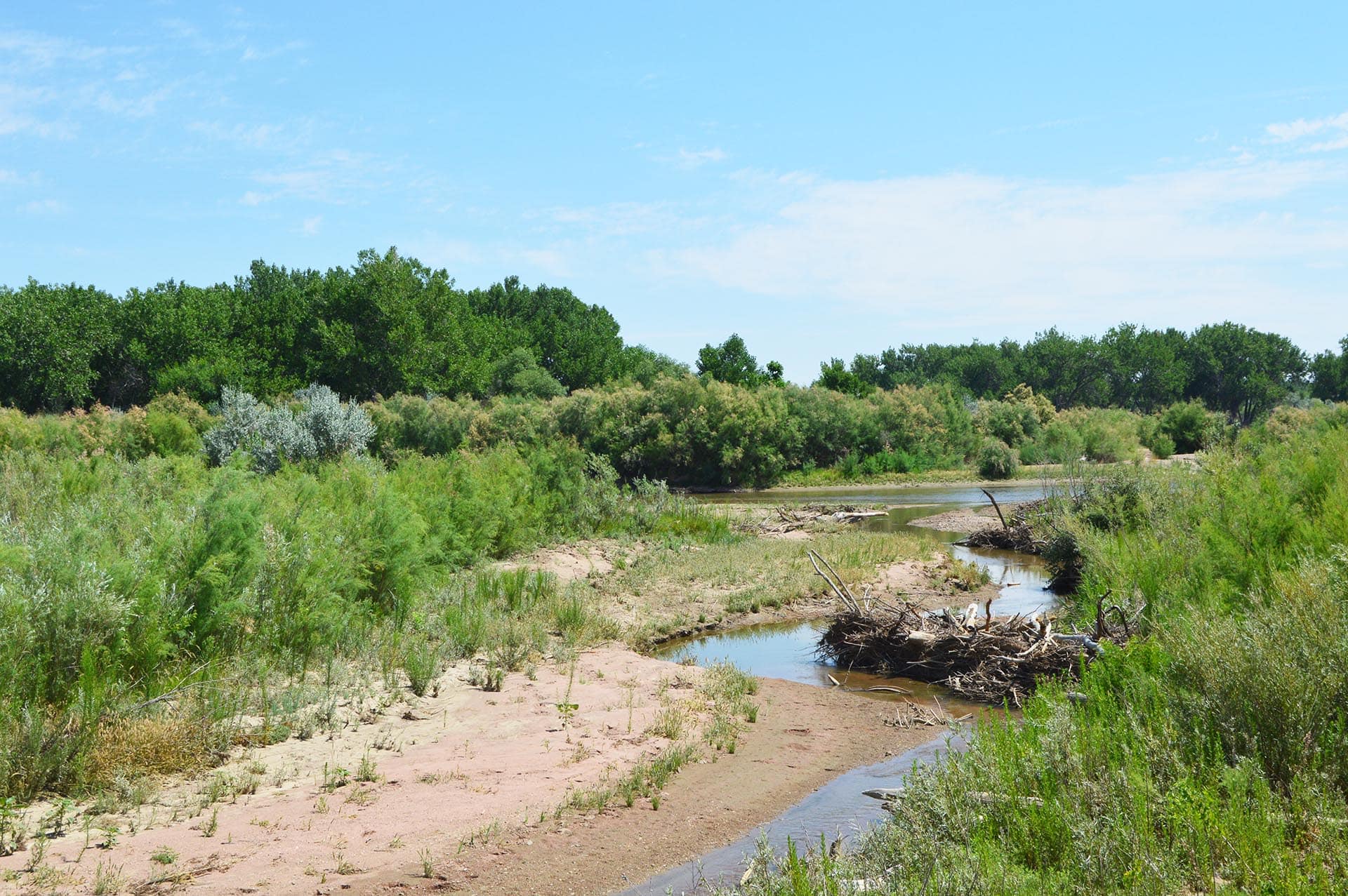 cottonwood river property co colorado two rivers ranch