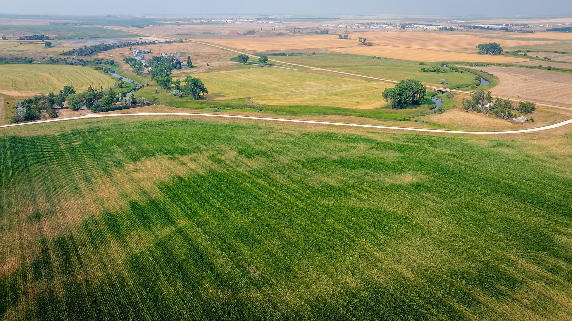 Aerial view of patchwork farmland with a winding road, trees, and distant farm buildings across fields of green and gold.