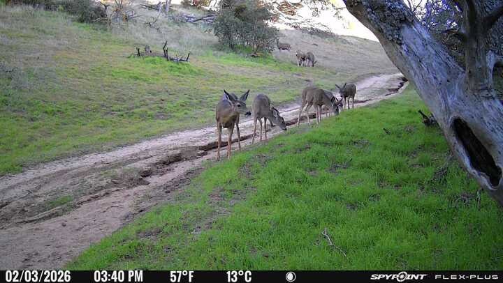 deer ranch for sale southern california gorman post ranch