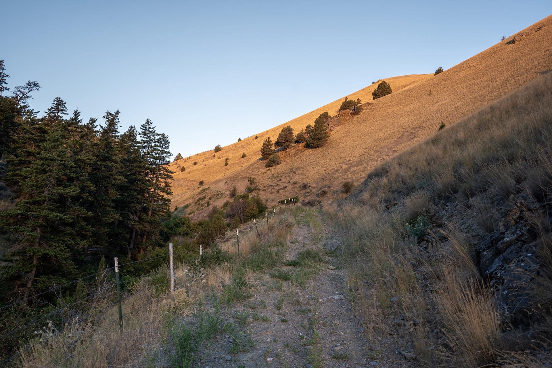 dirt road with fenceline hunting sporting oregon powell creek ranch