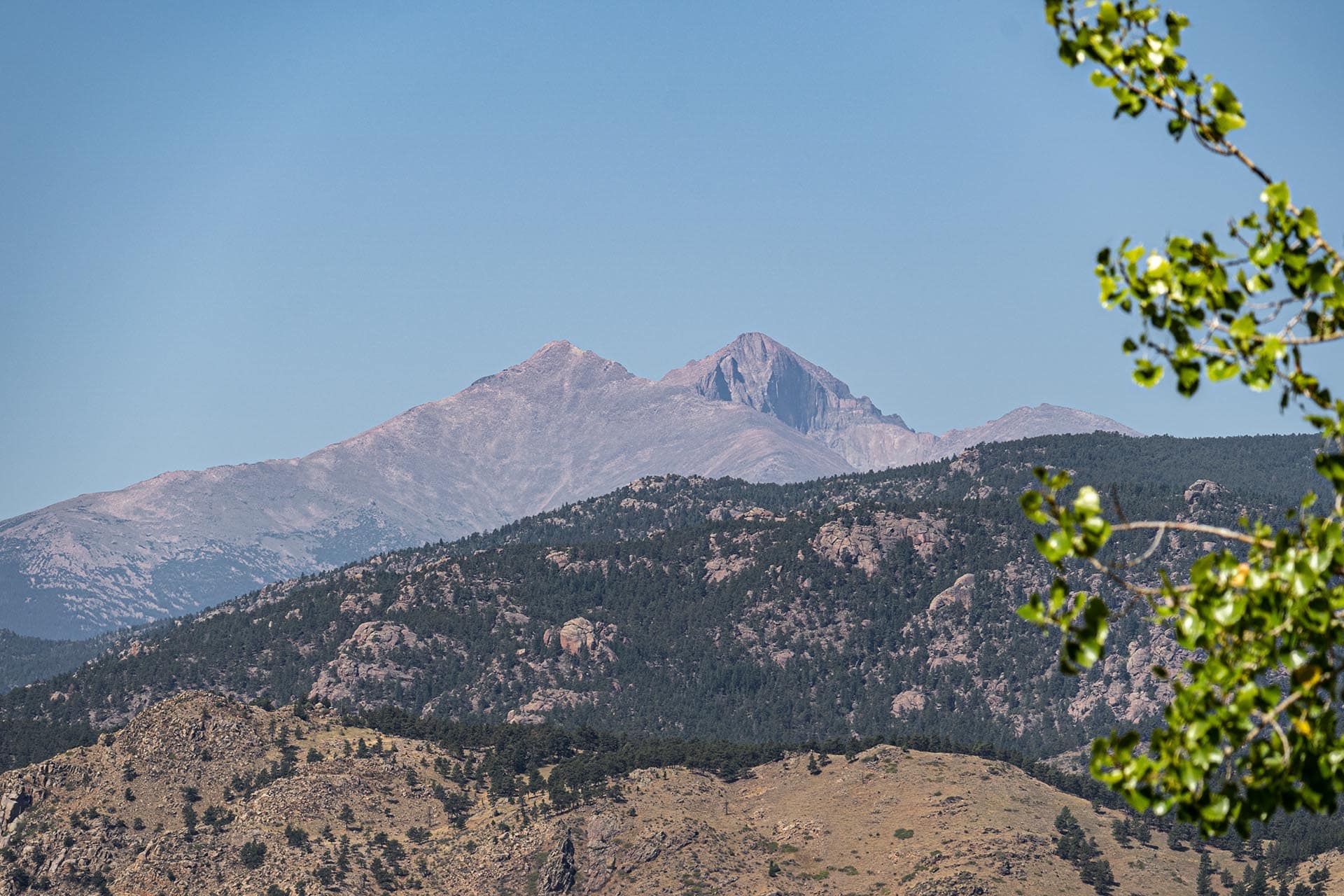 Mountain range with rocky peaks under a blue sky; a leafy branch frames the top-right edge.