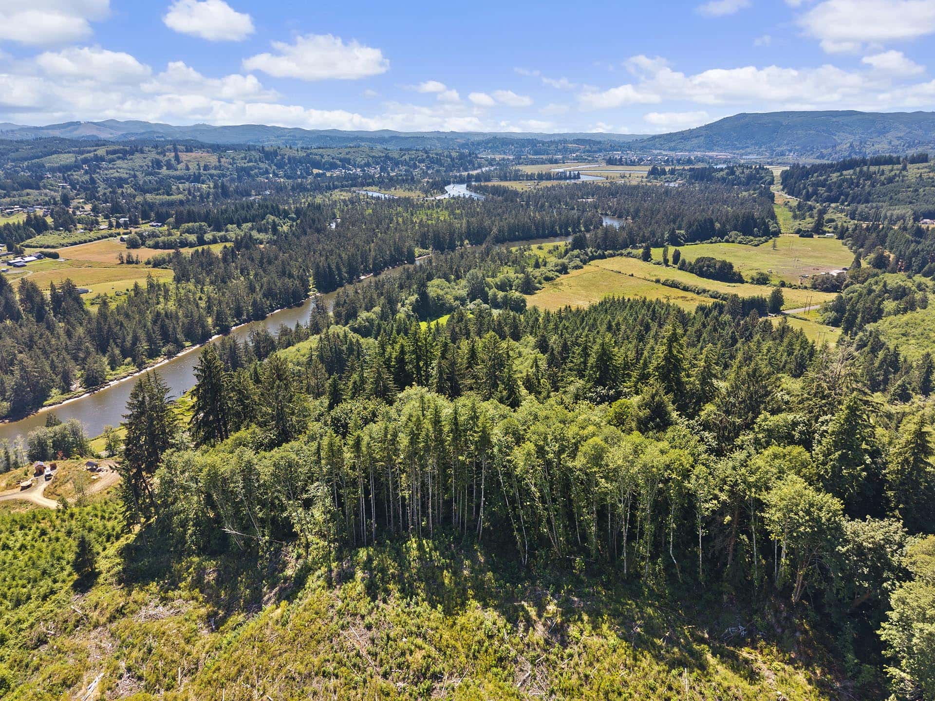 elk habitat property tall timber on willapa ridge