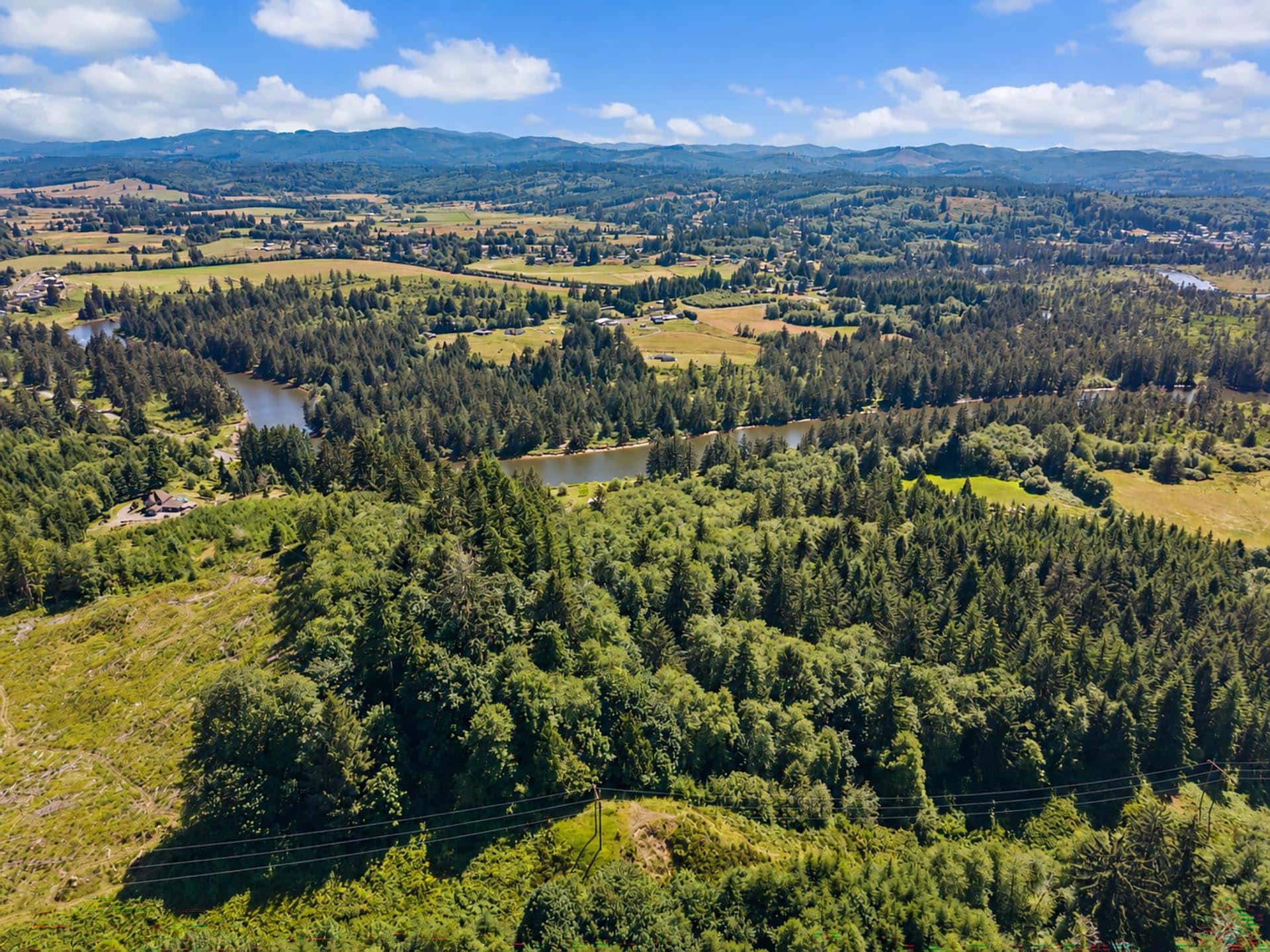 elk hunting property washington tall timber on willapa ridge