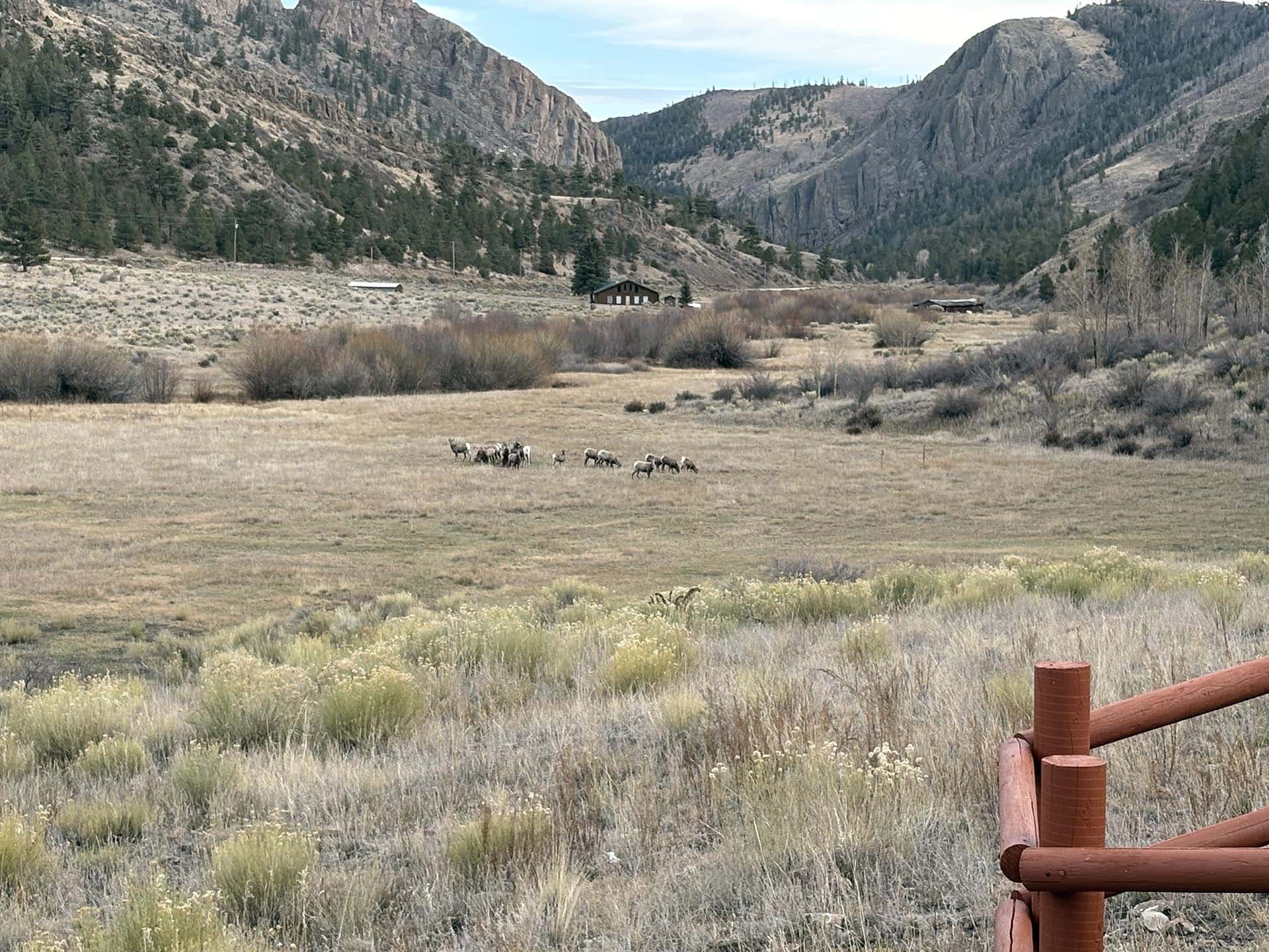 Rural valley with a small herd of sheep in the foreground, mountains in the background and a wooden fence in the lower right corner