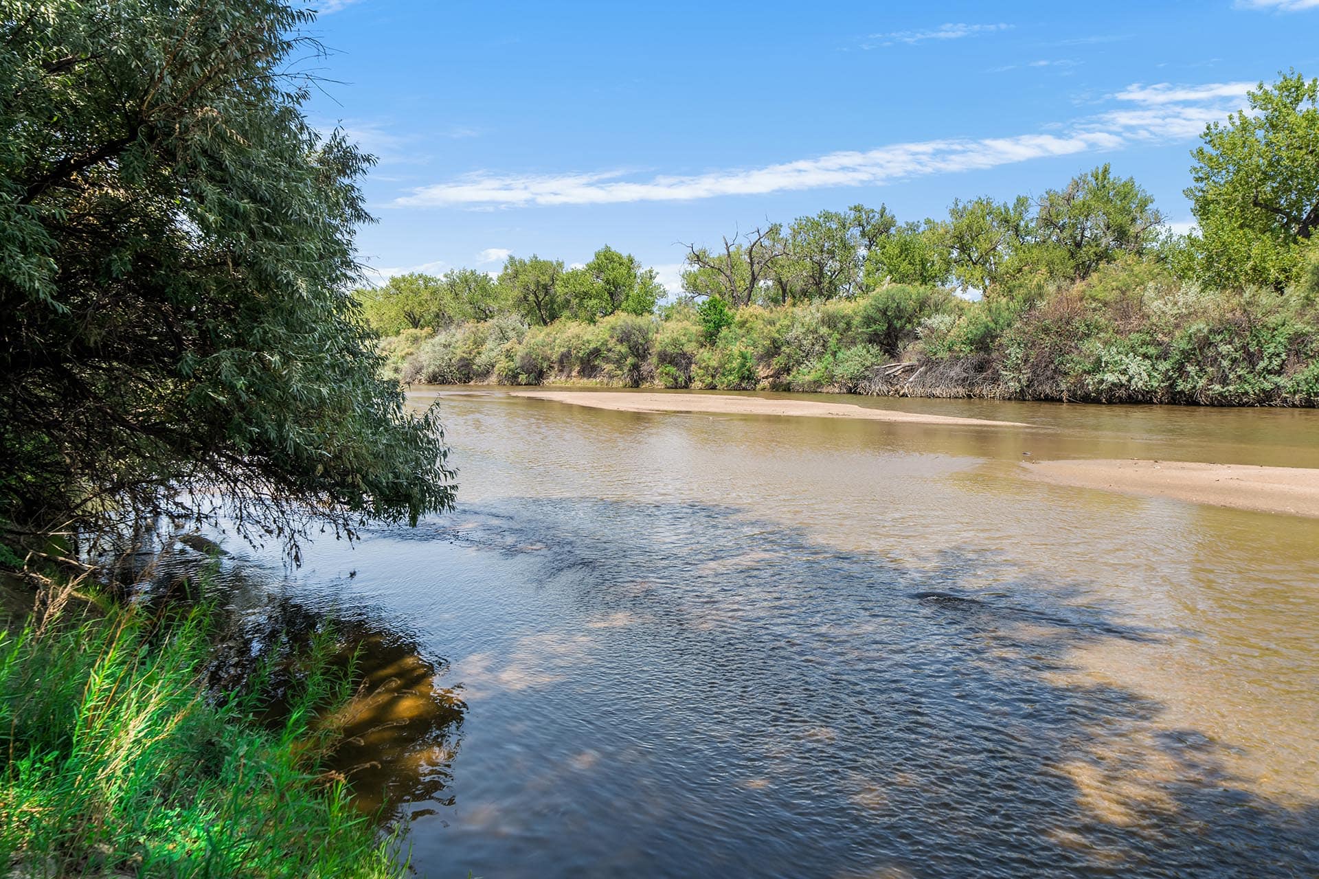Riverside scene with calm water, sandy bank, and dense green trees under a blue, partly cloudy sky