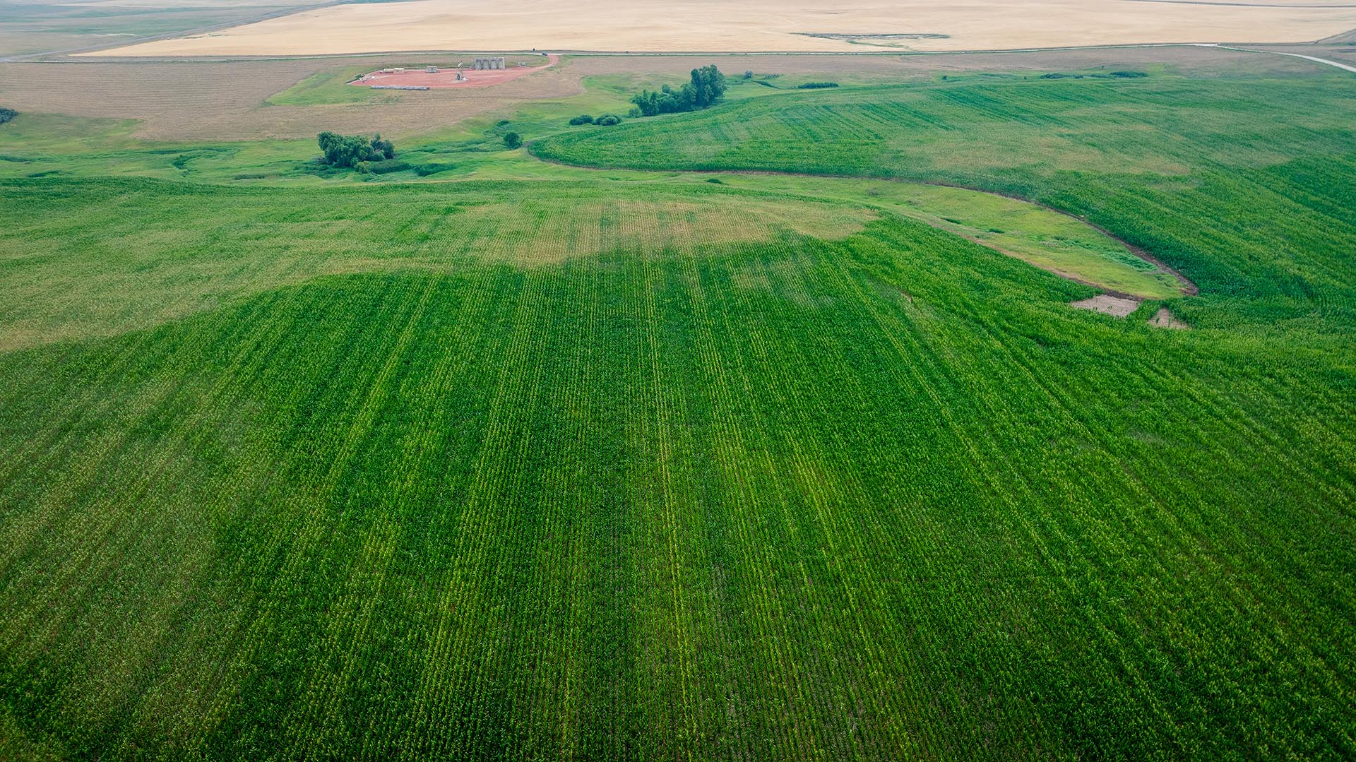 Aerial view of lush green farmland with patchwork fields and distant farm buildings in the distance.