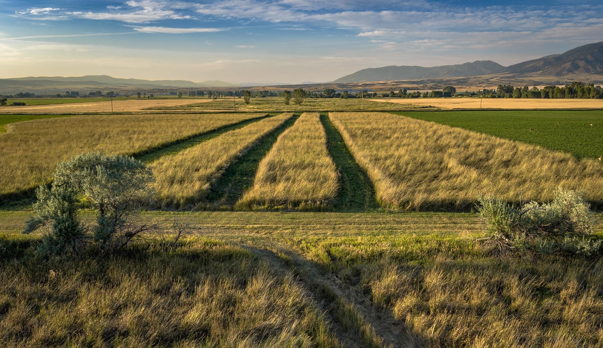 farmland for sale montana penwell preserve