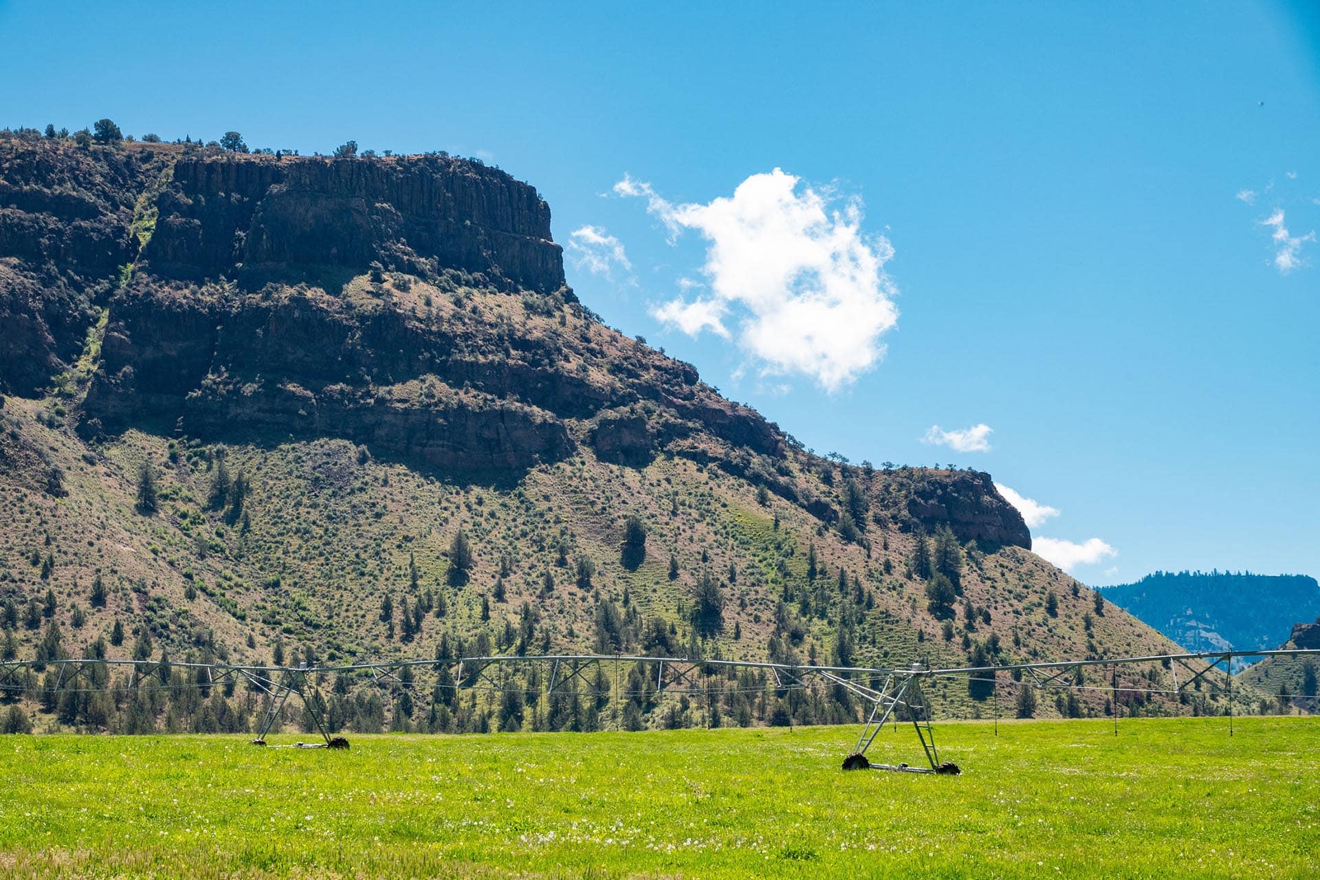 Hilly rocky slope with scattered trees under a clear blue sky; center-pivot irrigation in a green field.