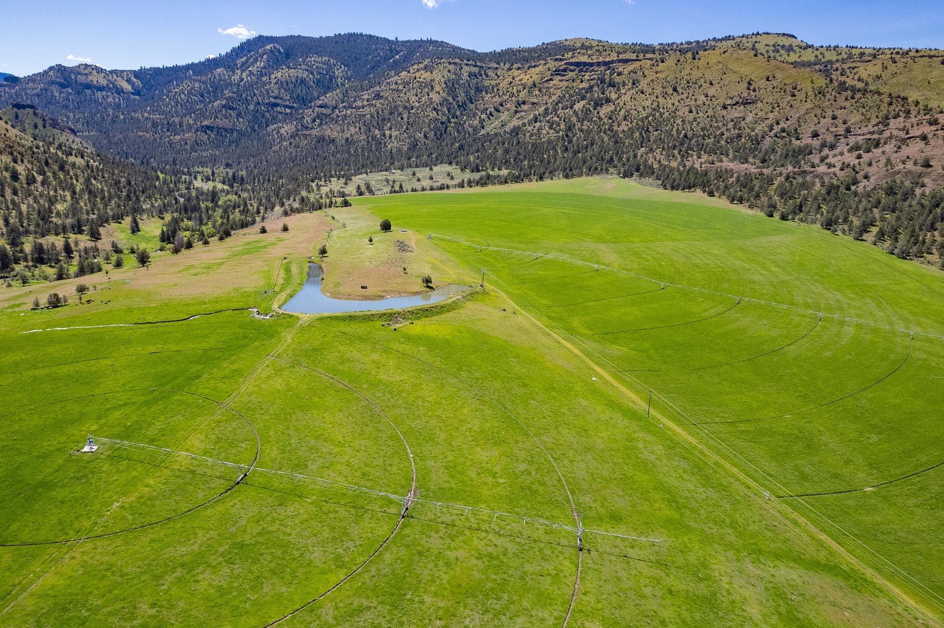 Aerial view of a green valley with circular irrigation fields, a small pond, and distant hills under a blue sky.