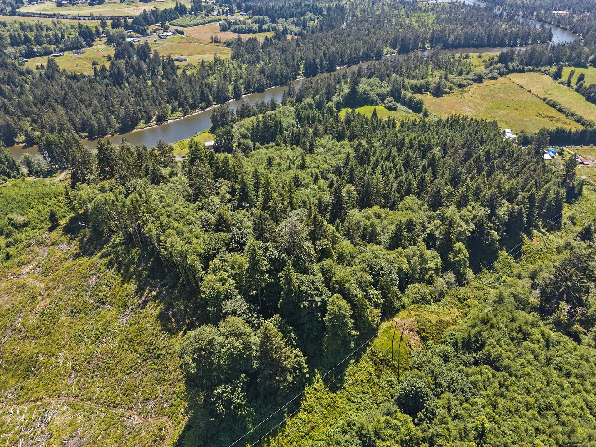 forest retreat with wildlife washington tall timber on willapa ridge