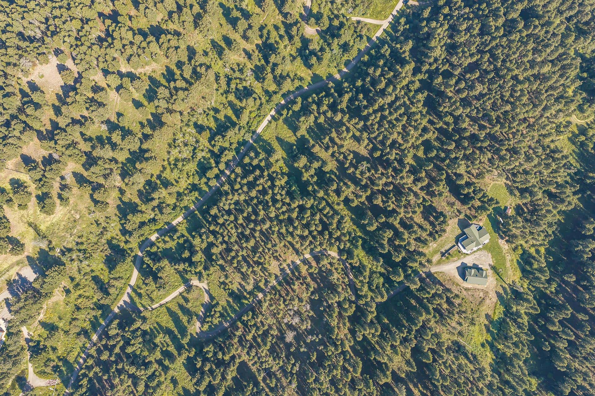 forested land with trails montana elk ranch