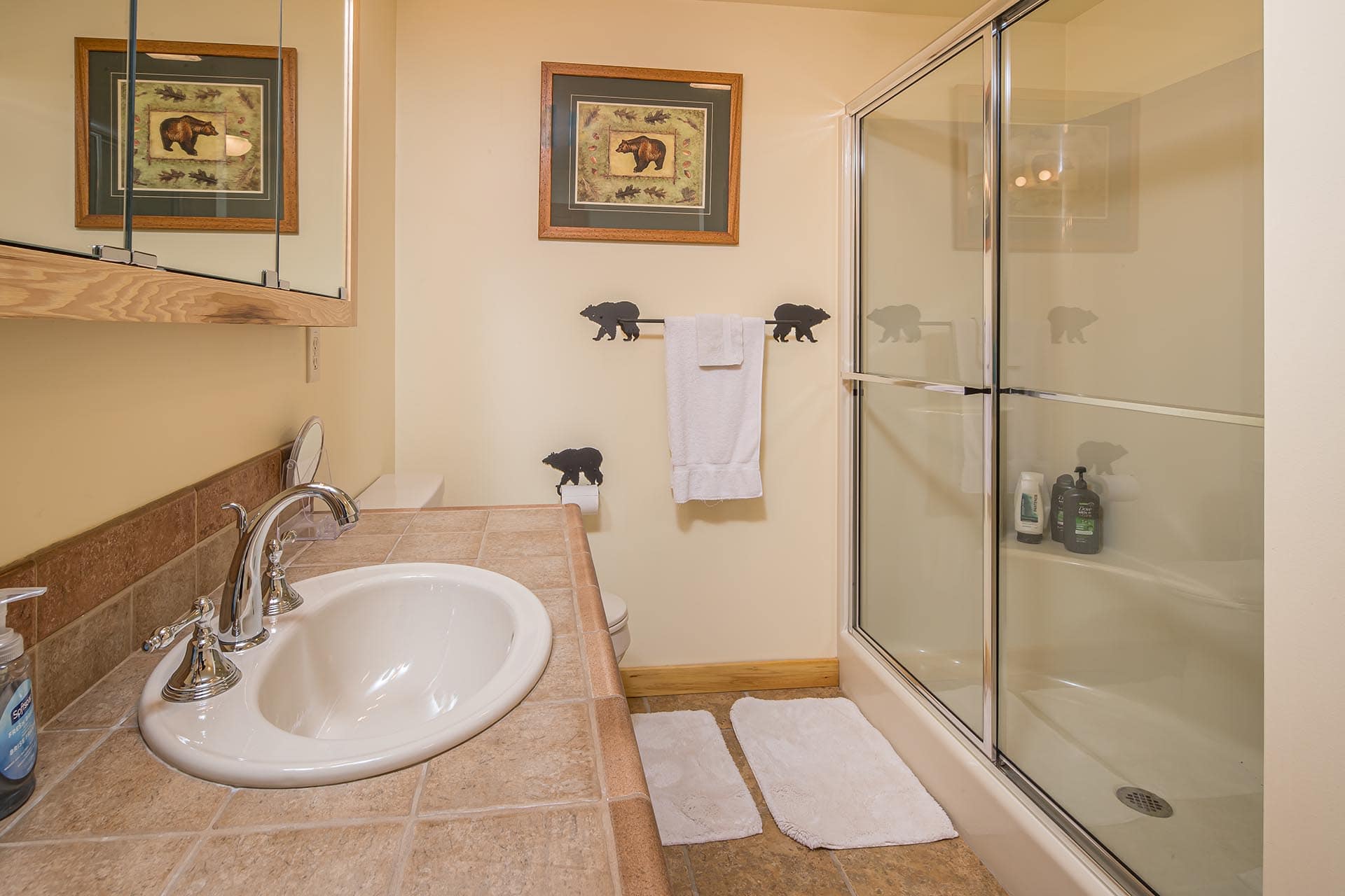 full bathroom with shower montana elk ranch