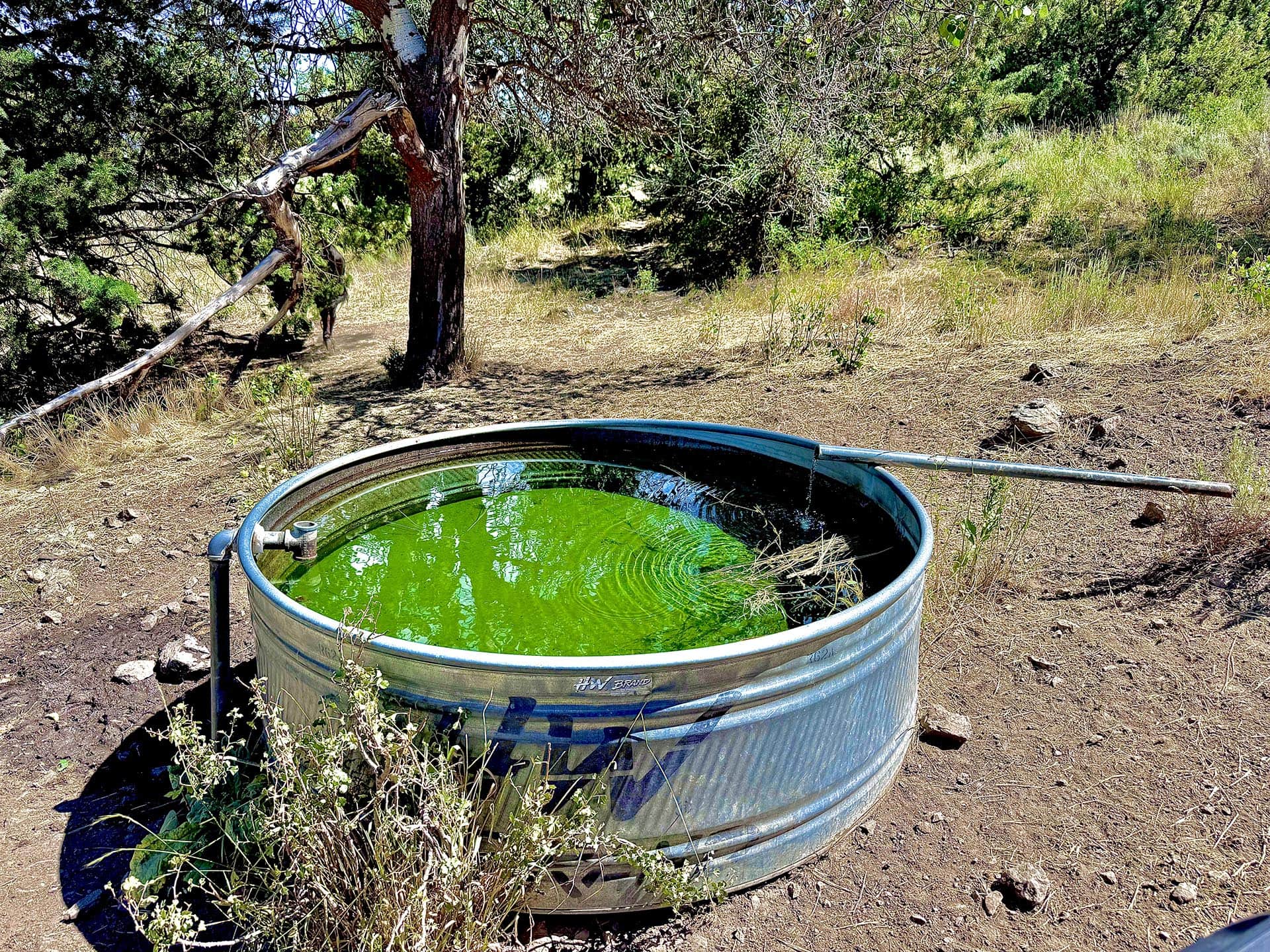 galvanized stock tank land oregon powell creek ranch